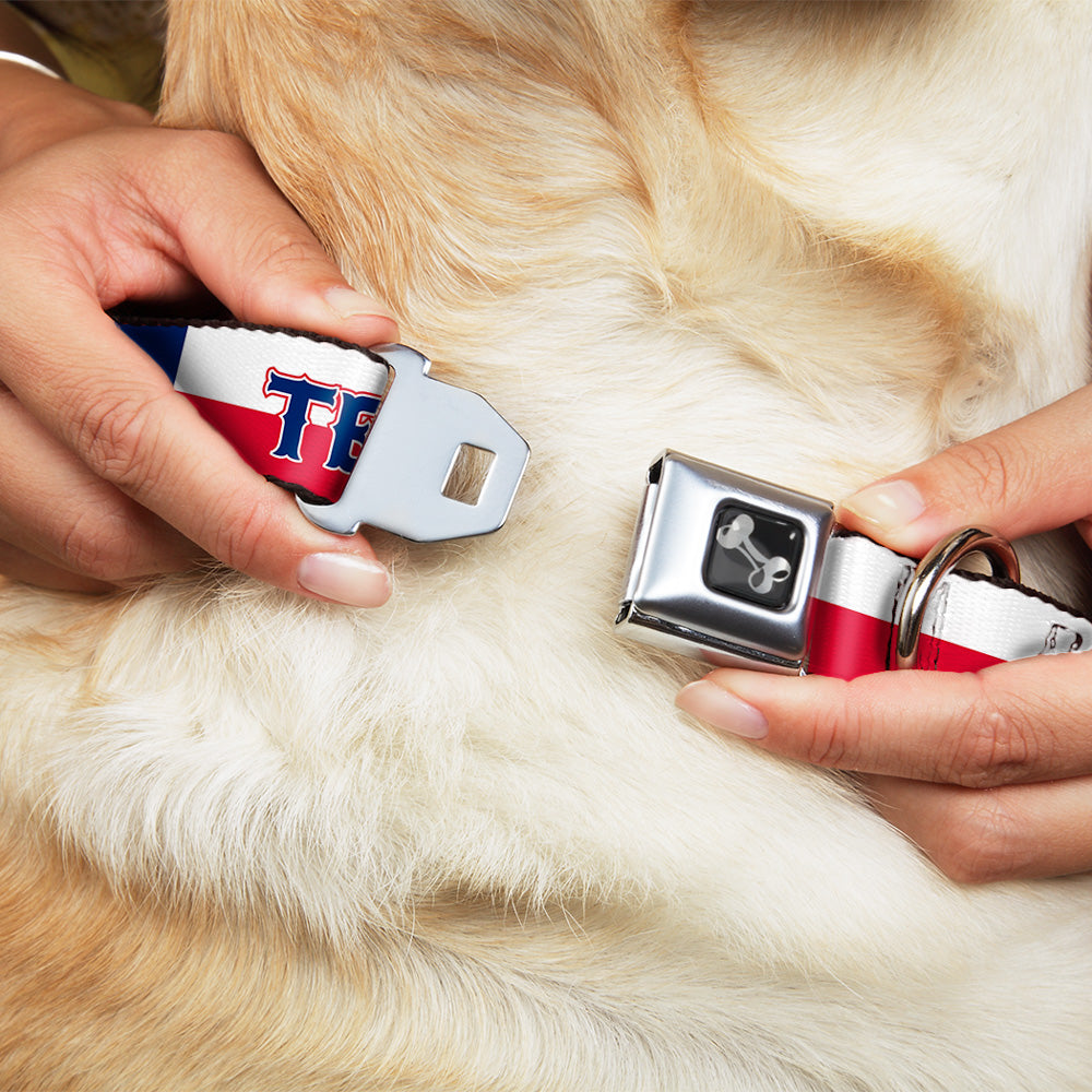 Dog Bone Seatbelt Buckle Collar - Texas Flag/TEXAS Seatbelt Buckle Collars Buckle-Down