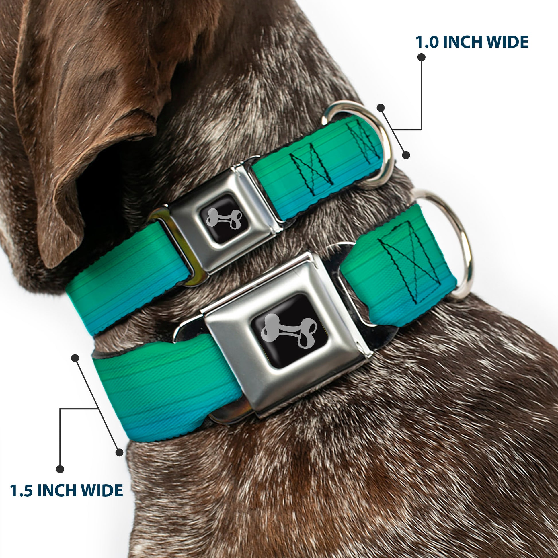 Dog Bone Seatbelt Buckle Collar - Teal Ombre Seatbelt Buckle Collars Buckle-Down