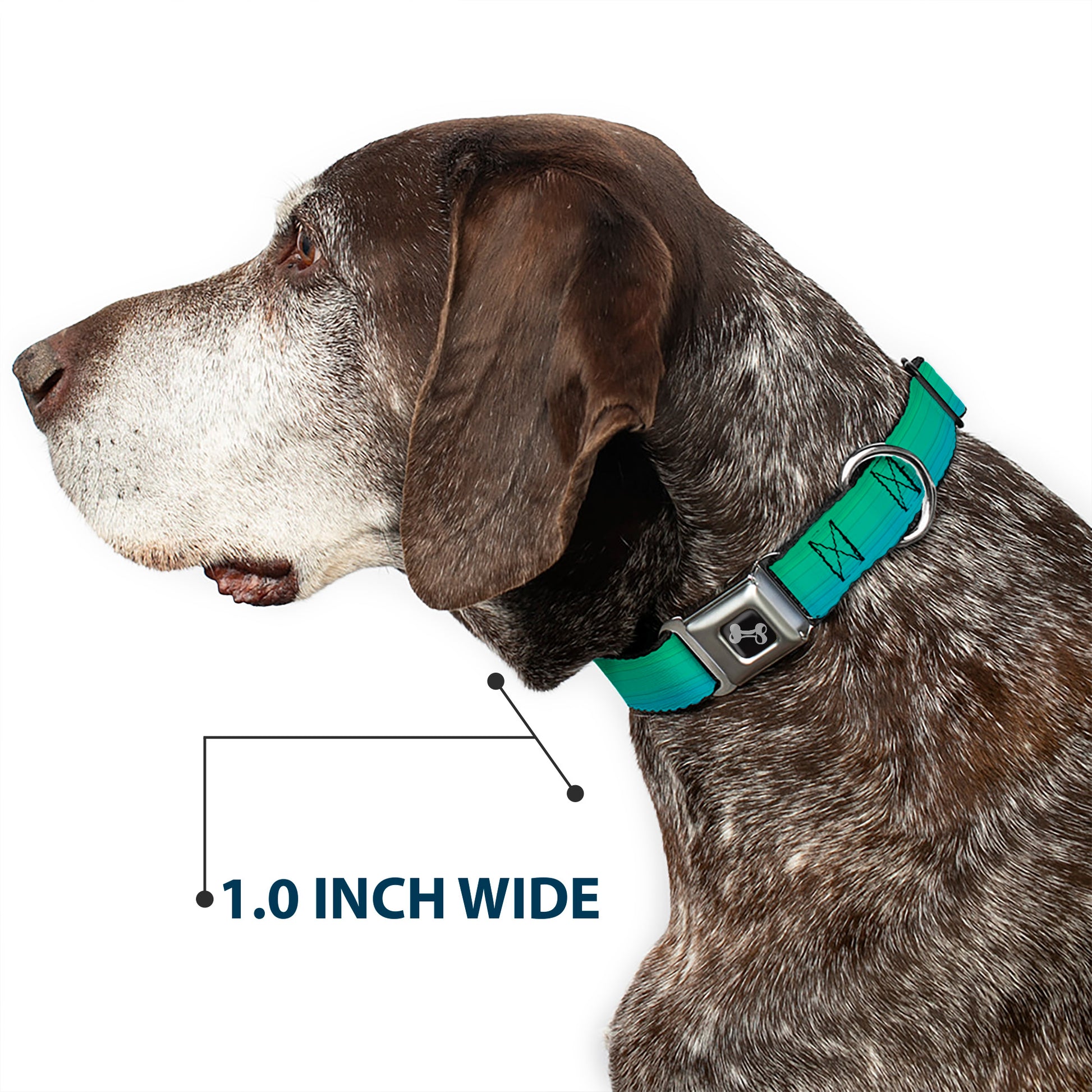 Dog Bone Seatbelt Buckle Collar - Teal Ombre Seatbelt Buckle Collars Buckle-Down