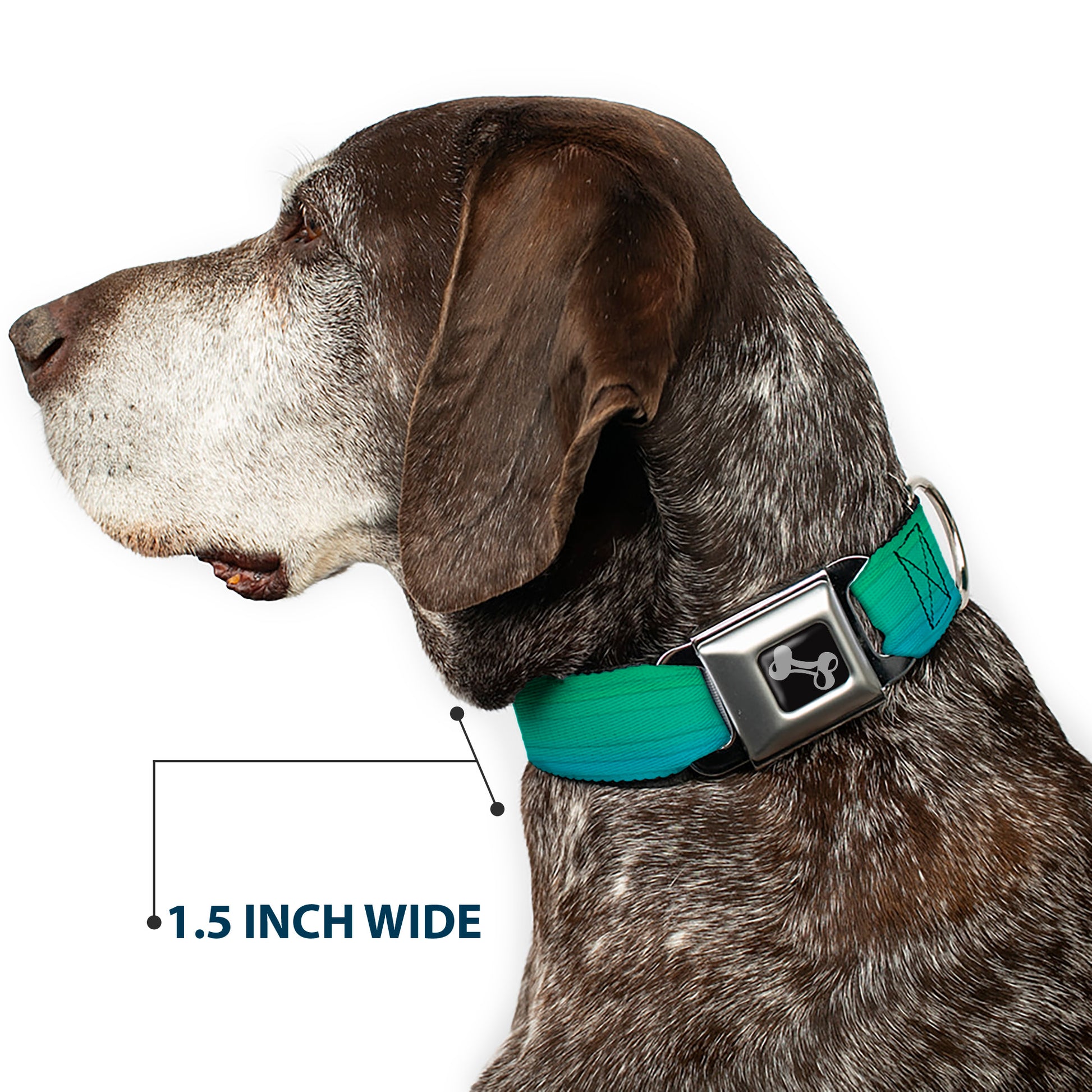 Dog Bone Seatbelt Buckle Collar - Teal Ombre Seatbelt Buckle Collars Buckle-Down