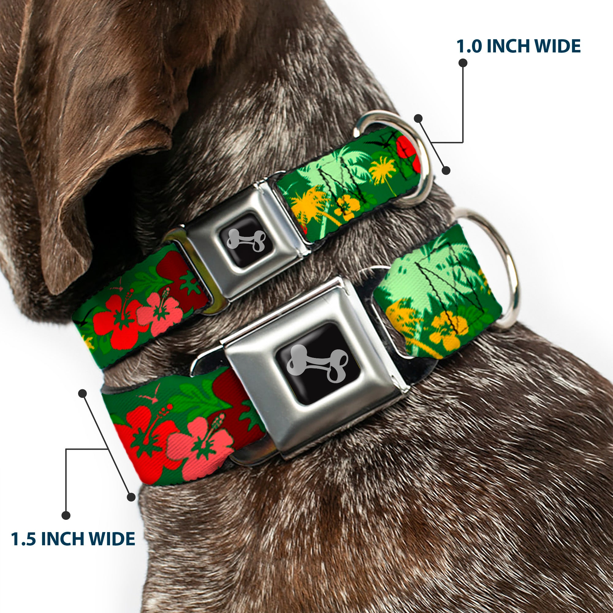 Dog Bone Seatbelt Buckle Collar - Tropical Flora Greens/Reds/Gold Seatbelt Buckle Collars Buckle-Down