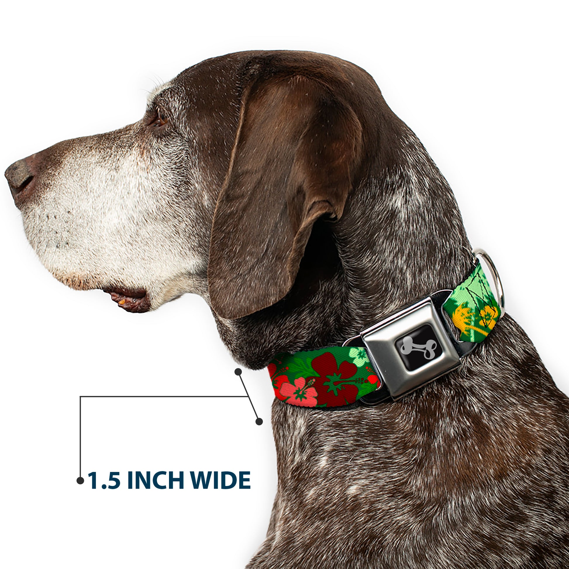 Dog Bone Seatbelt Buckle Collar - Tropical Flora Greens/Reds/Gold Seatbelt Buckle Collars Buckle-Down