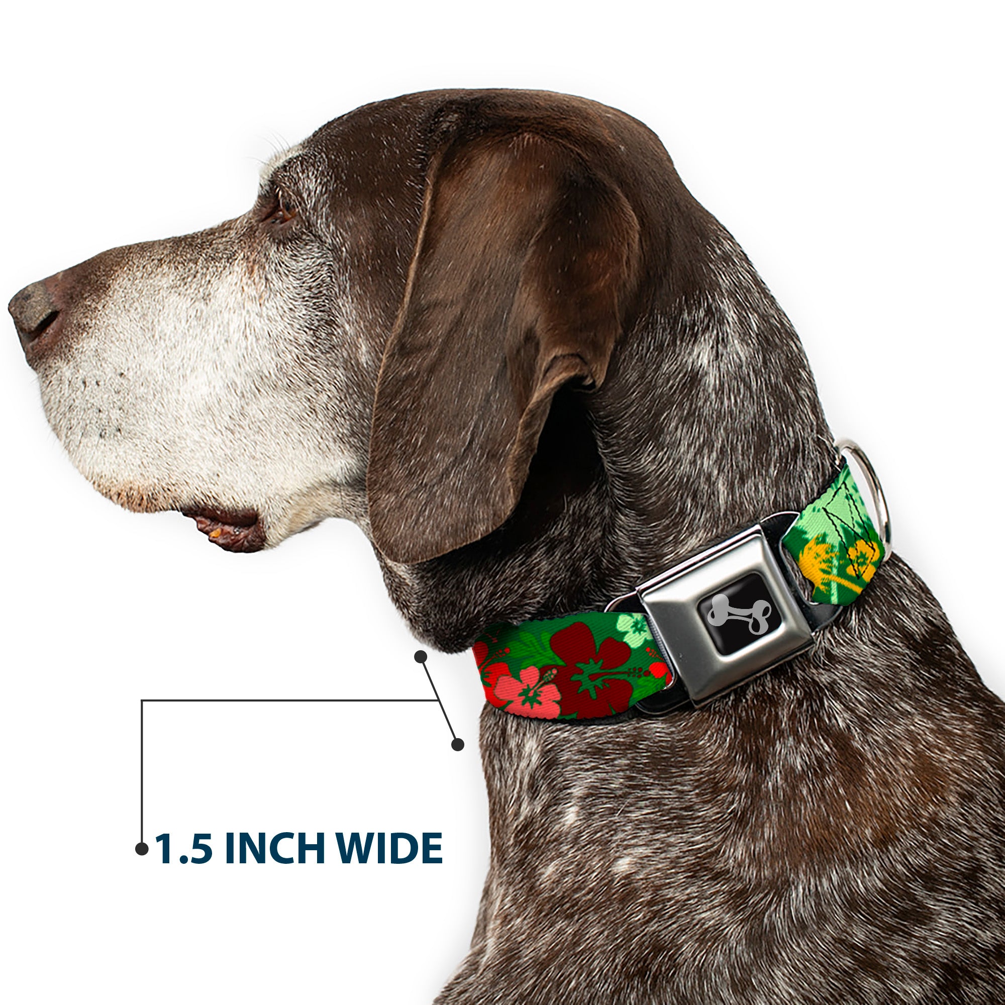Dog Bone Seatbelt Buckle Collar - Tropical Flora Greens/Reds/Gold Seatbelt Buckle Collars Buckle-Down