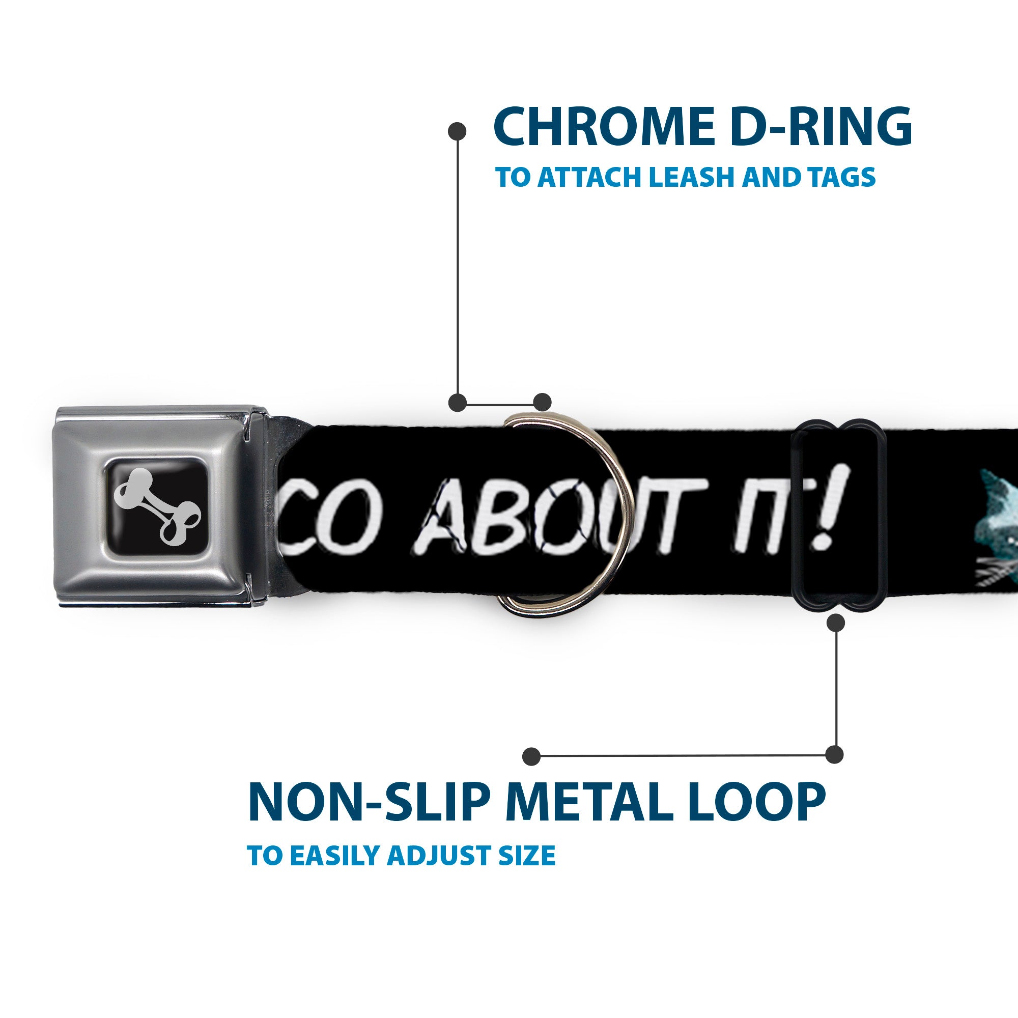 Dog Bone Seatbelt Buckle Collar - Taco Cat I DON'T WANT TO TACO 'BOUT IT Seatbelt Buckle Collars Buckle-Down