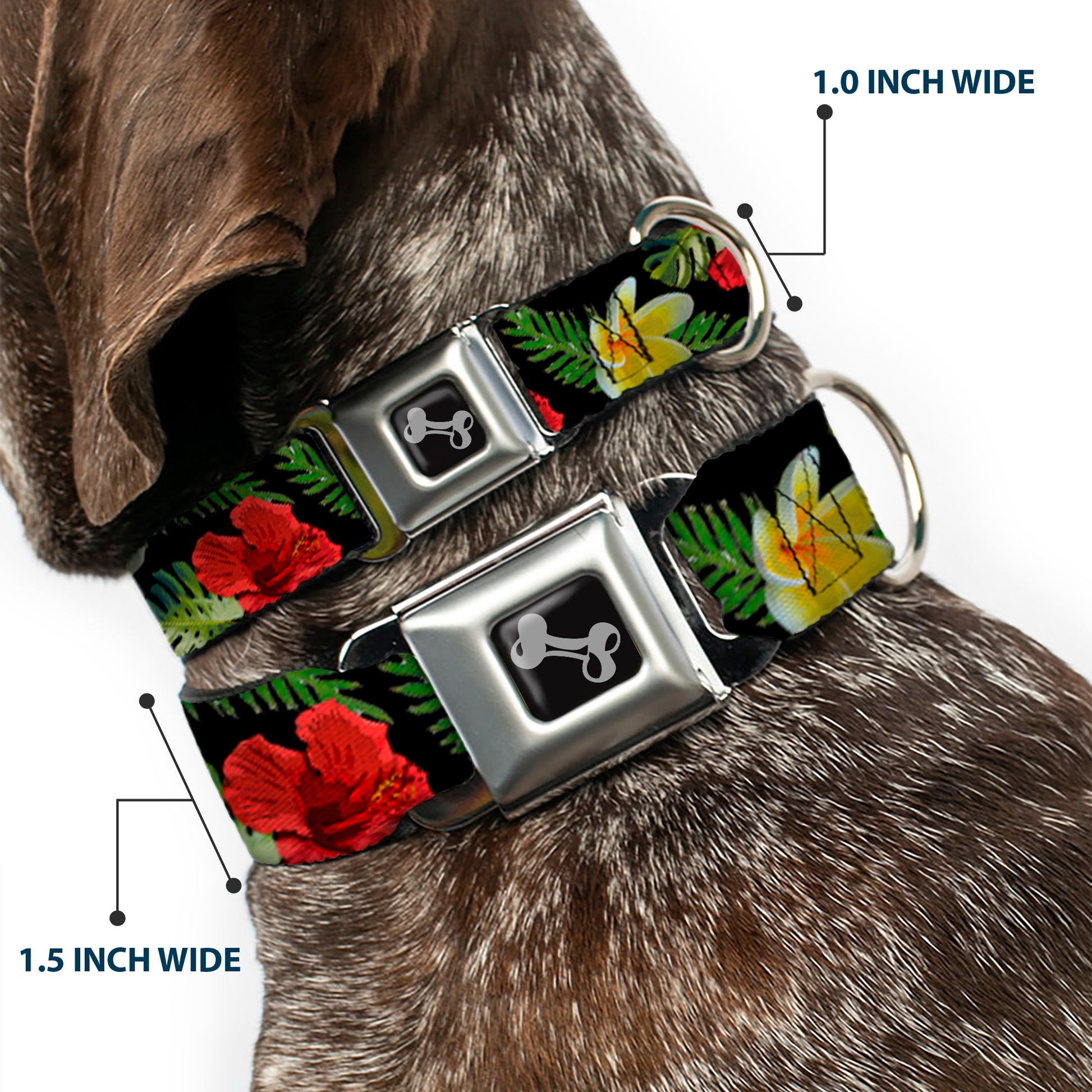 Dog Bone Seatbelt Buckle Collar - Tropical Floral Collage Black/Red/Orange Seatbelt Buckle Collars Buckle-Down