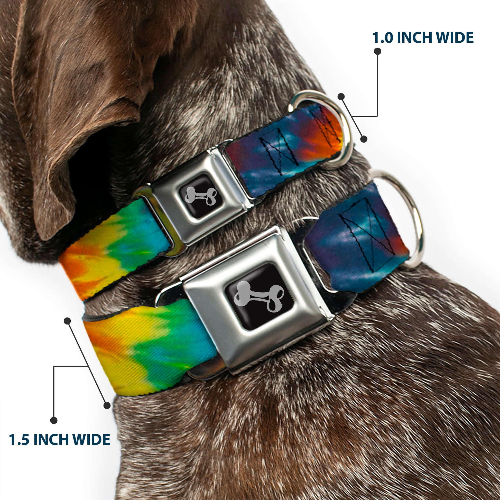 Dog Bone Seatbelt Buckle Collar - Tie Dye Swirl Multi Color Seatbelt Buckle Collars Buckle-Down