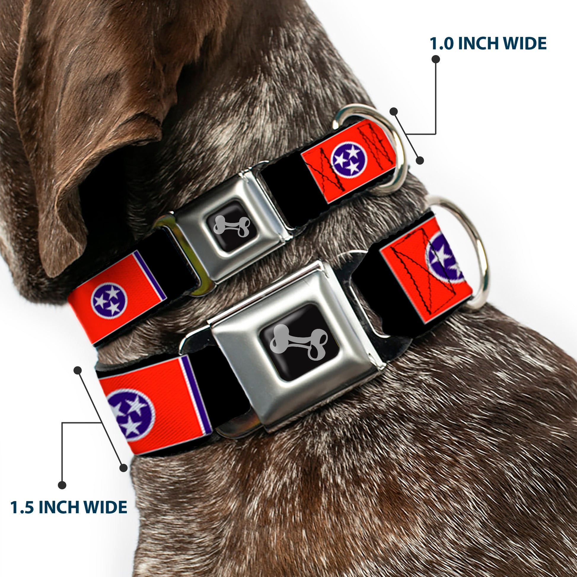 Dog Bone Seatbelt Buckle Collar - Tennessee Flags/Black Seatbelt Buckle Collars Buckle-Down