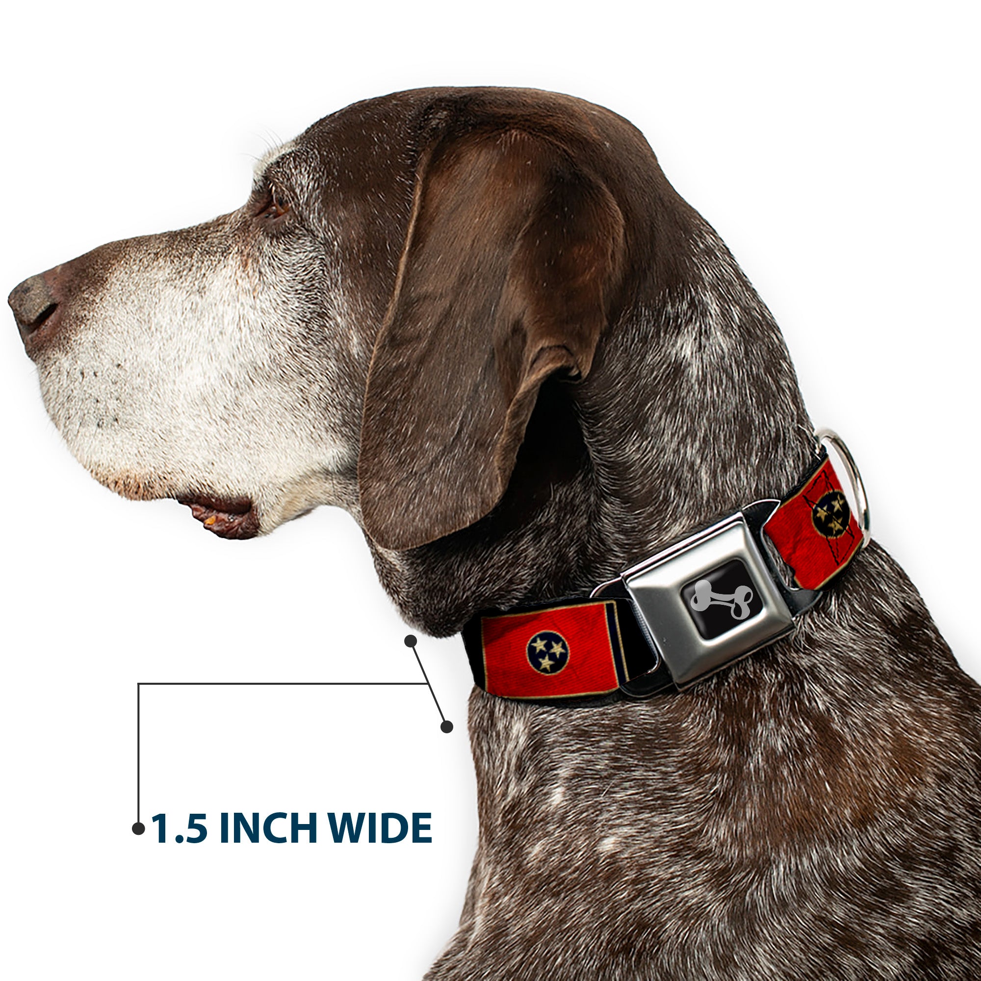 Dog Bone Seatbelt Buckle Collar - Tennessee Flag/Black Distressed Seatbelt Buckle Collars Buckle-Down