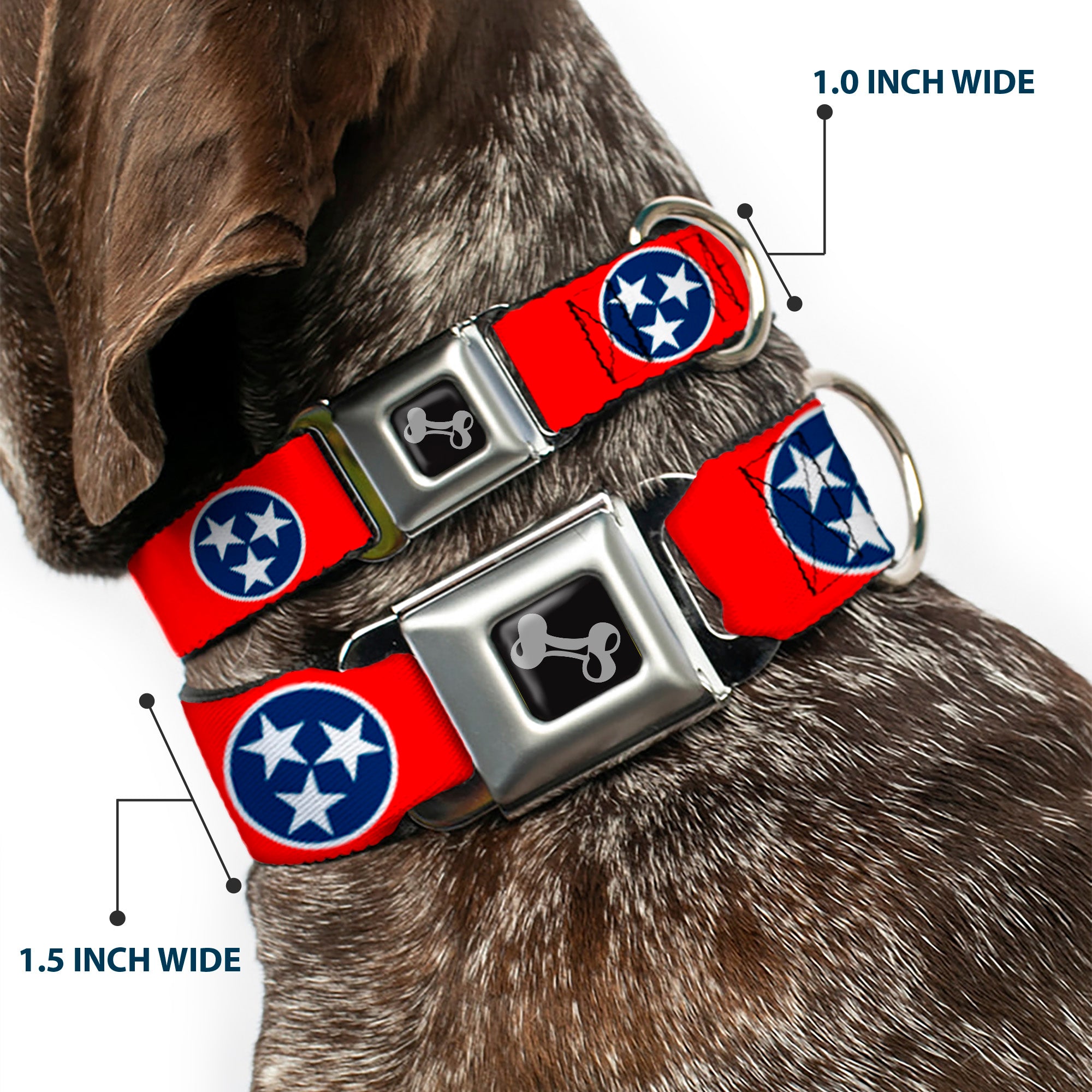 Dog Bone Seatbelt Buckle Collar - Tennessee Flag Stars Red/White/Blue Seatbelt Buckle Collars Buckle-Down