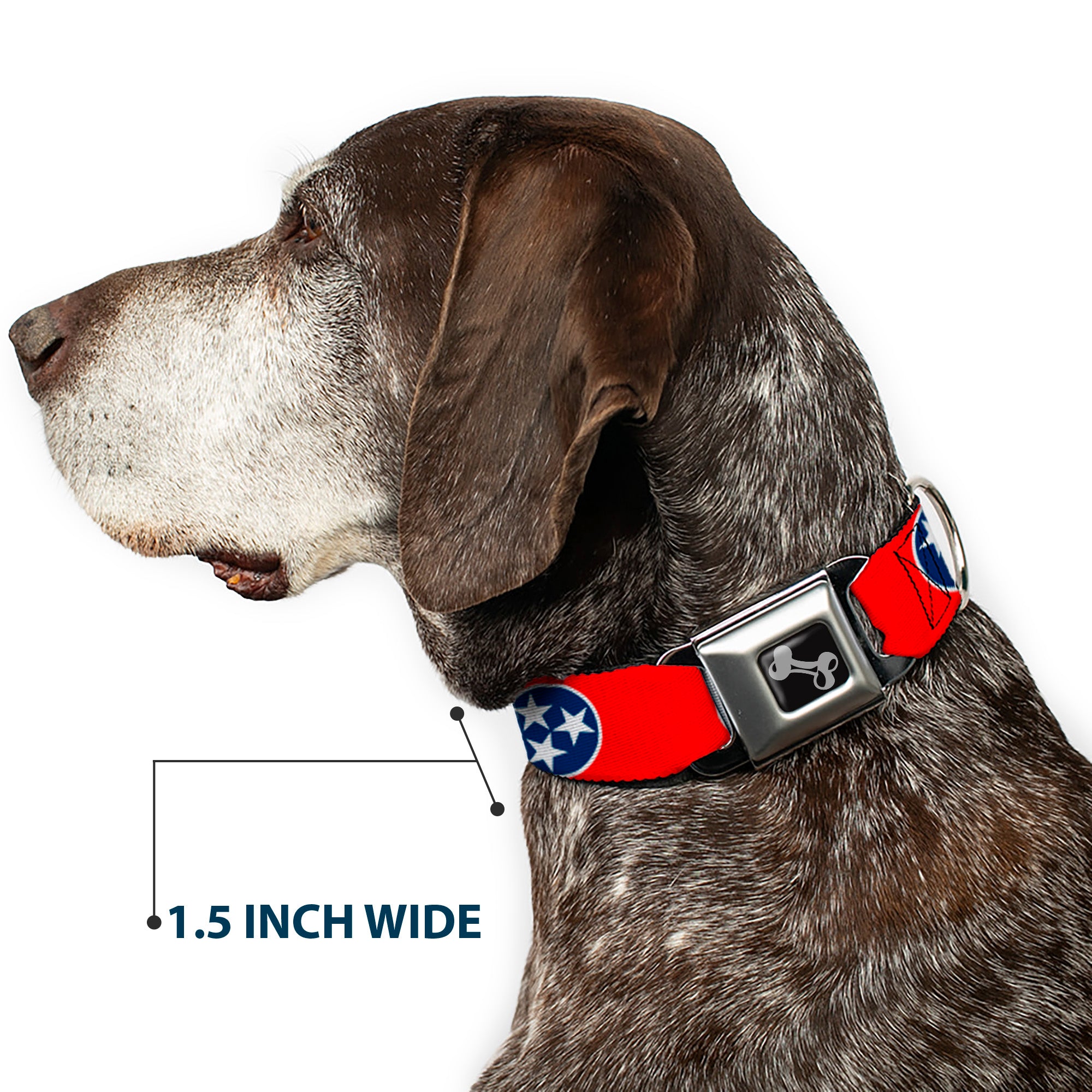 Dog Bone Seatbelt Buckle Collar - Tennessee Flag Stars Red/White/Blue Seatbelt Buckle Collars Buckle-Down