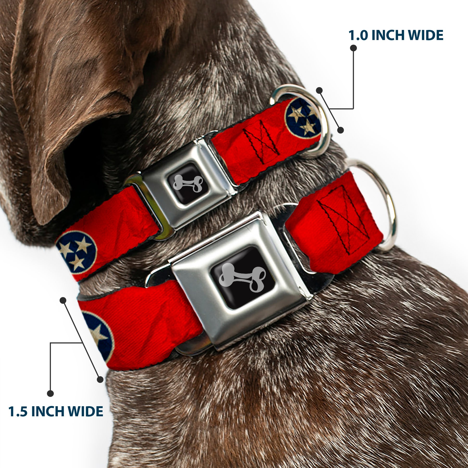 Dog Bone Seatbelt Buckle Collar - Tennessee Flag Stars CLOSE-UP Distressed Seatbelt Buckle Collars Buckle-Down