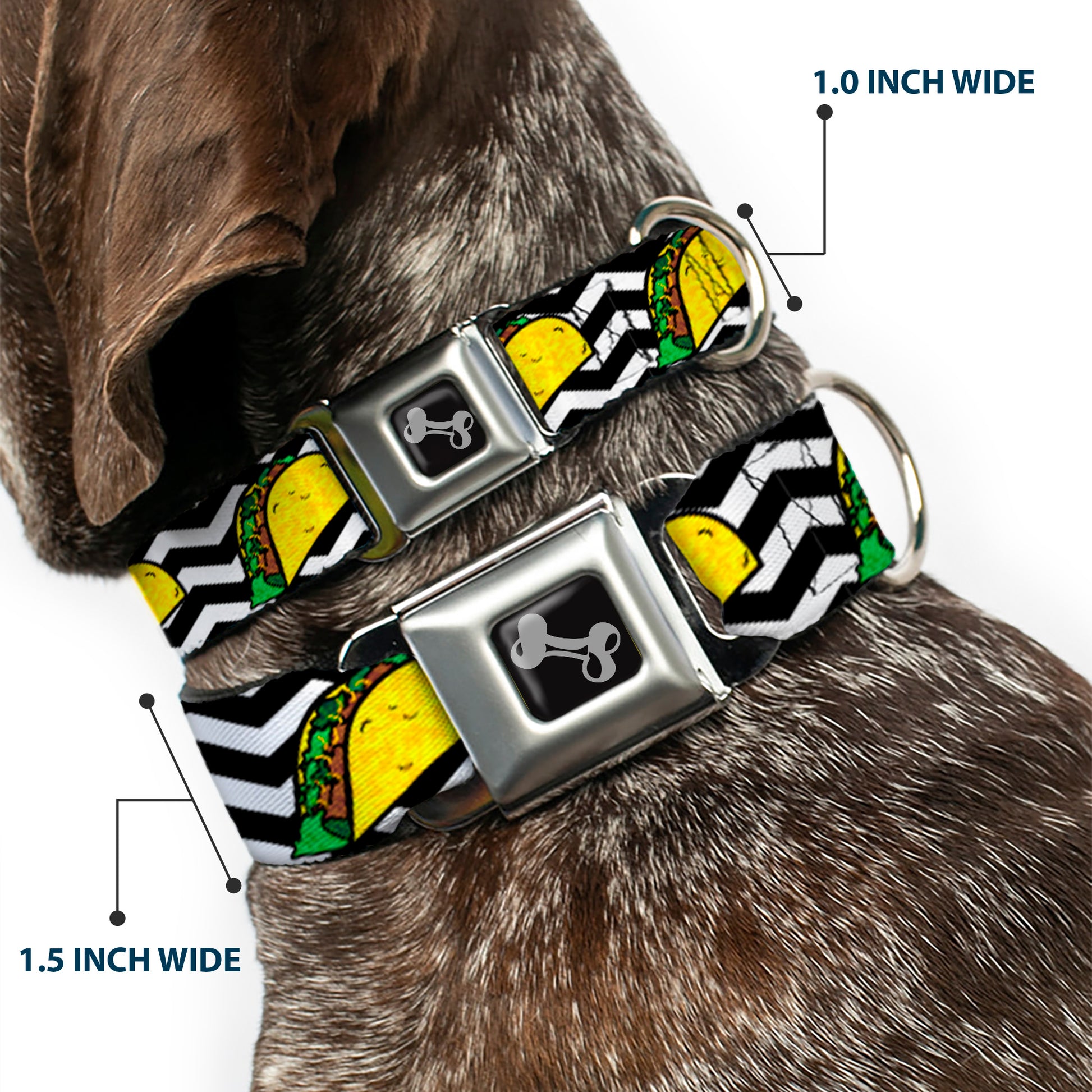 Dog Bone Seatbelt Buckle Collar - Taco/Chevron Black/White Seatbelt Buckle Collars Buckle-Down
