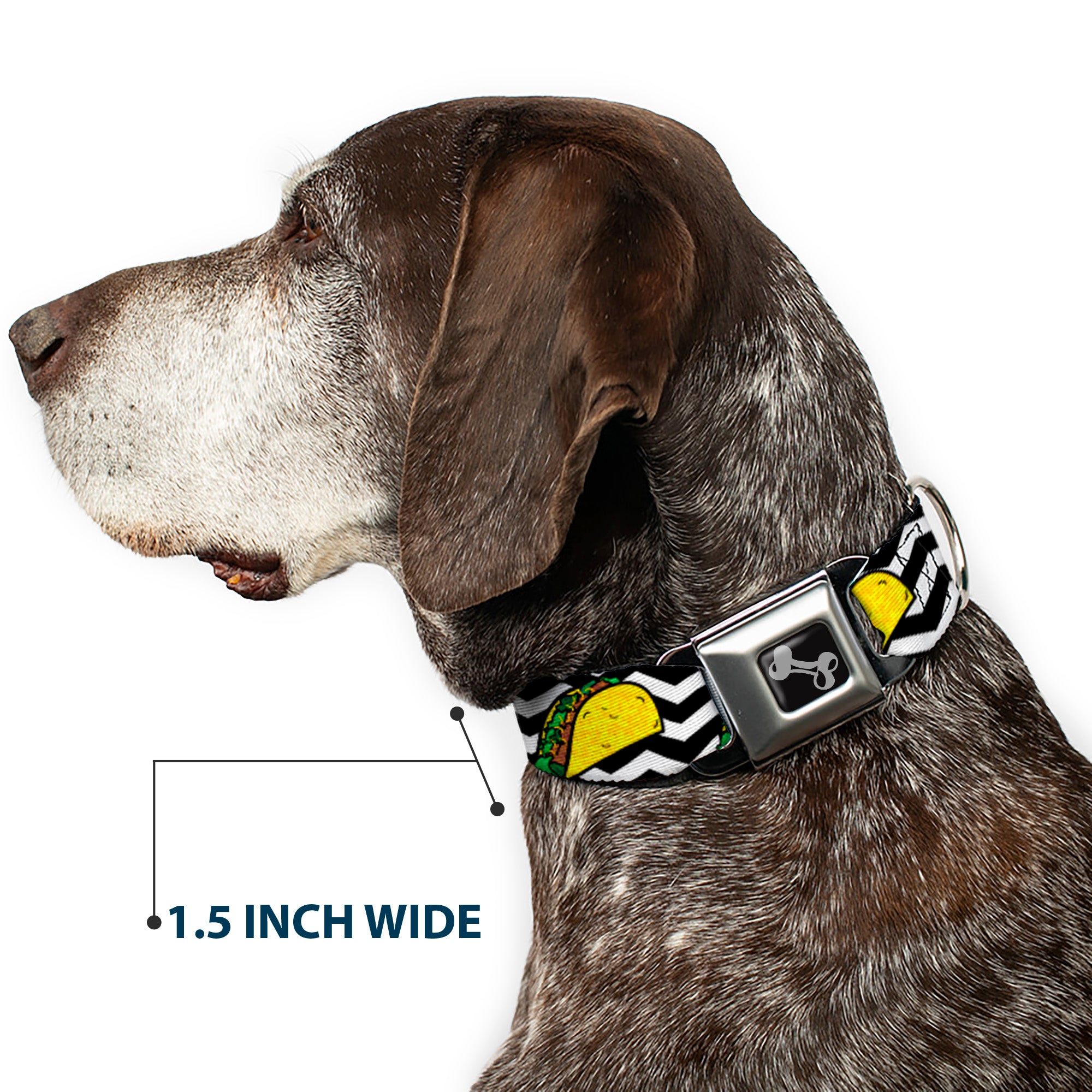 Dog Bone Seatbelt Buckle Collar - Taco/Chevron Black/White Seatbelt Buckle Collars Buckle-Down