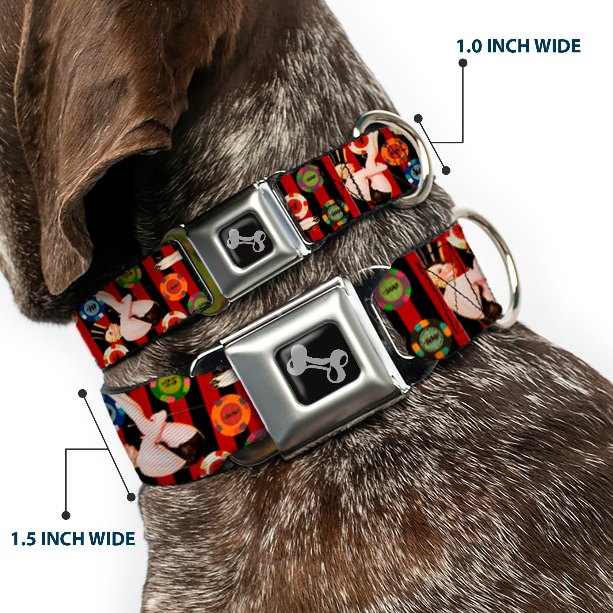 Dog Bone Seatbelt Buckle Collar - Top Hat Pin Up Girl/Poker Chips Vertical Stripes Red/Black Seatbelt Buckle Collars Buckle-Down