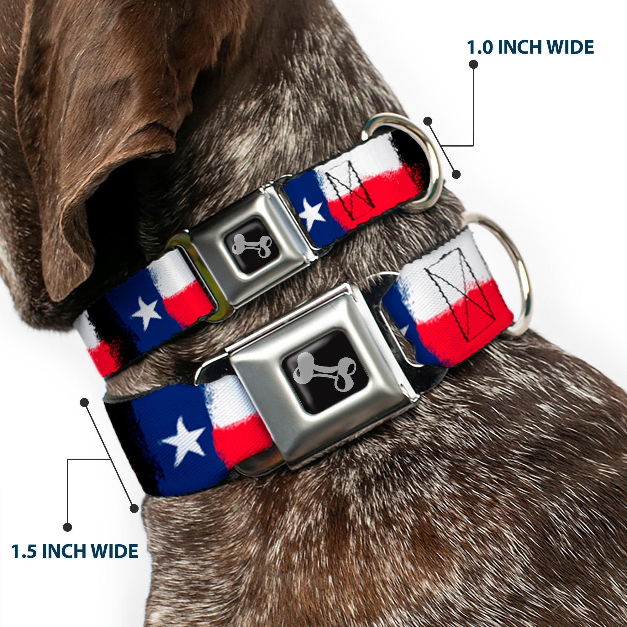 Dog Bone Seatbelt Buckle Collar - Texas Flag Painting Seatbelt Buckle Collars Buckle-Down
