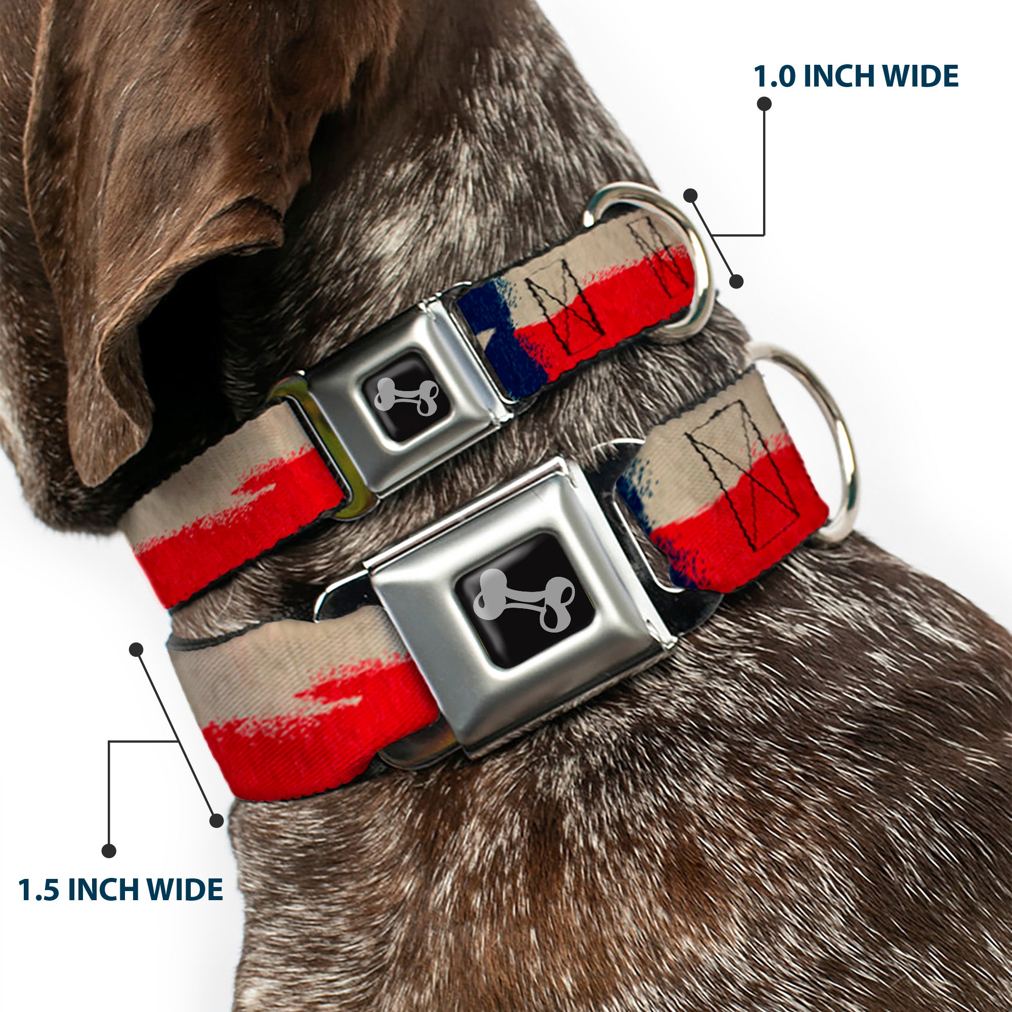 Dog Bone Seatbelt Buckle Collar - Texas Flag CLOSE-UP Distressed Painting Seatbelt Buckle Collars Buckle-Down