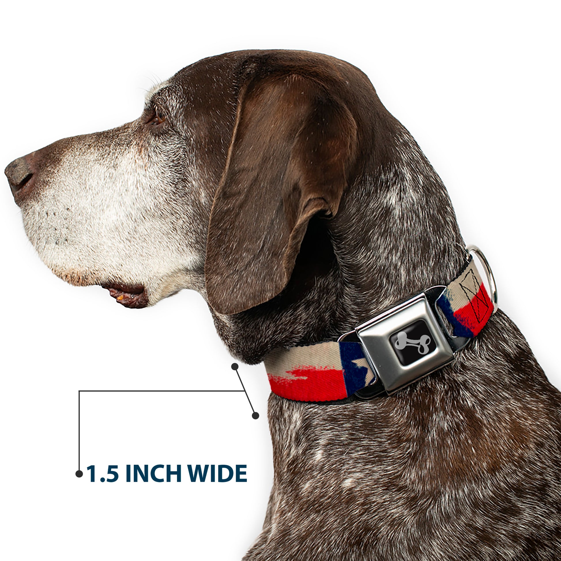 Dog Bone Seatbelt Buckle Collar - Texas Flag CLOSE-UP Distressed Painting Seatbelt Buckle Collars Buckle-Down