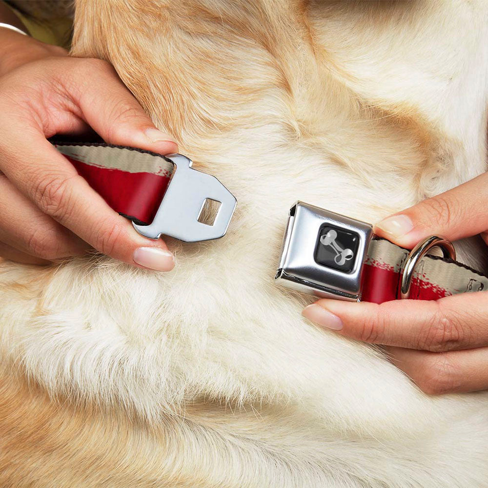 Dog Bone Seatbelt Buckle Collar - Texas Flag CLOSE-UP Distressed Painting Seatbelt Buckle Collars Buckle-Down