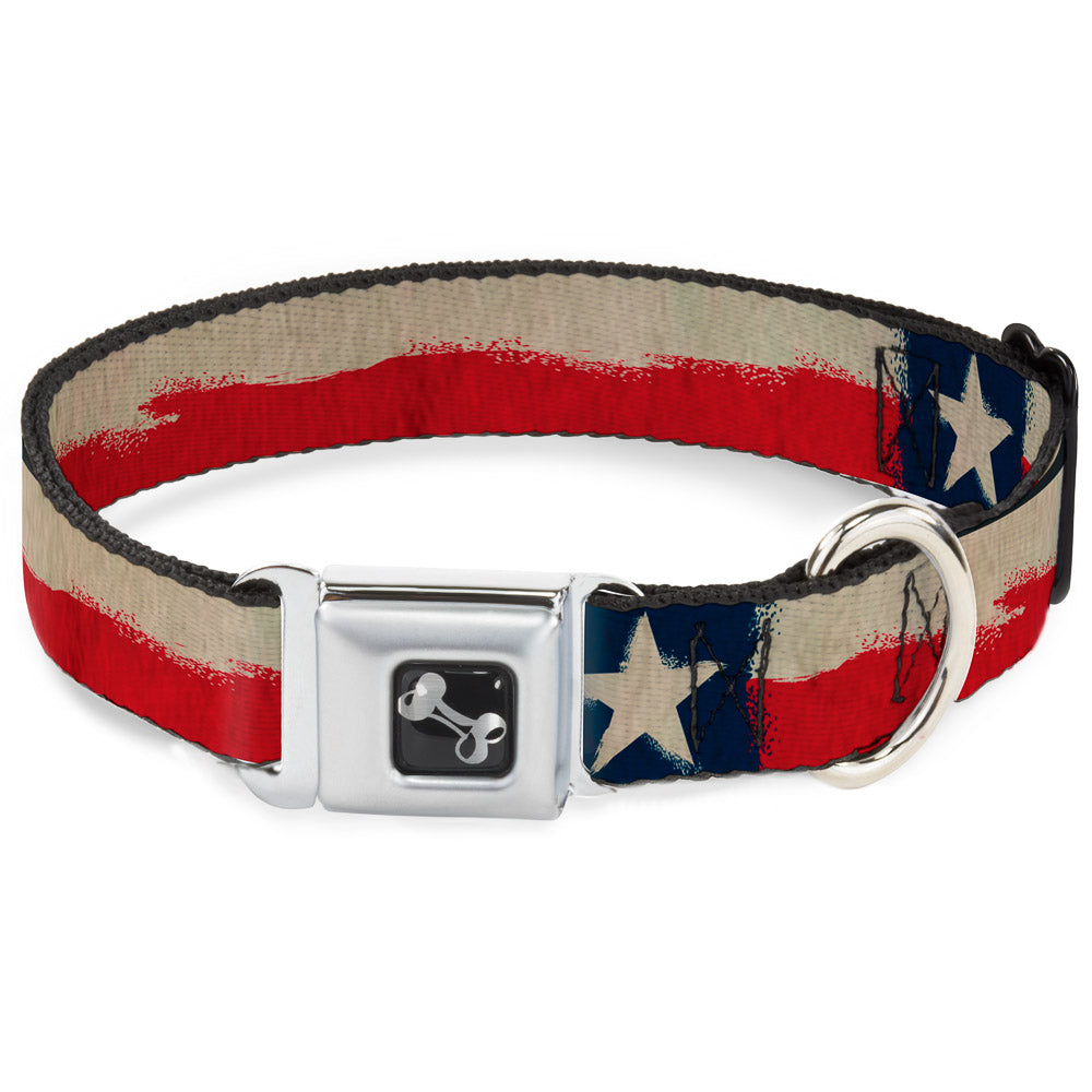 Dog Bone Seatbelt Buckle Collar - Texas Flag CLOSE-UP Distressed Painting Seatbelt Buckle Collars Buckle-Down