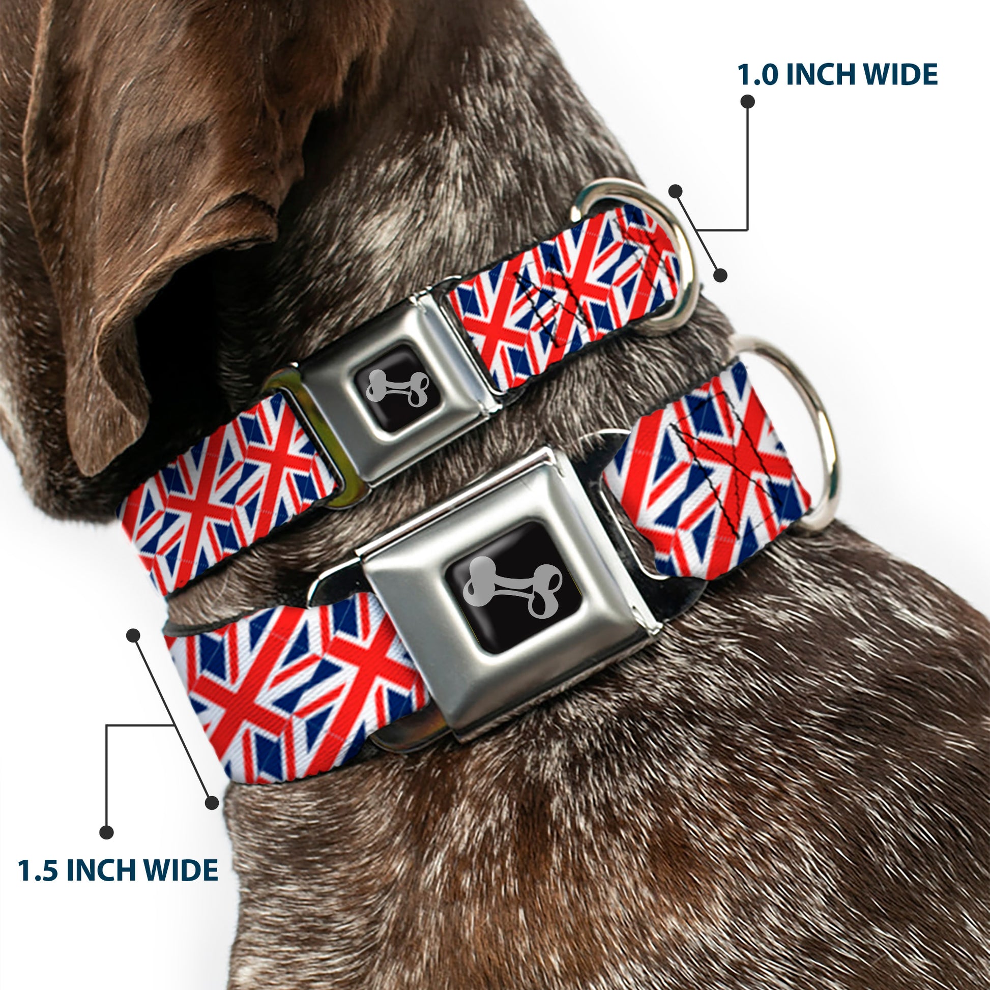 Dog Bone Seatbelt Buckle Collar - United Kingdom Flags Diagonal Seatbelt Buckle Collars Buckle-Down