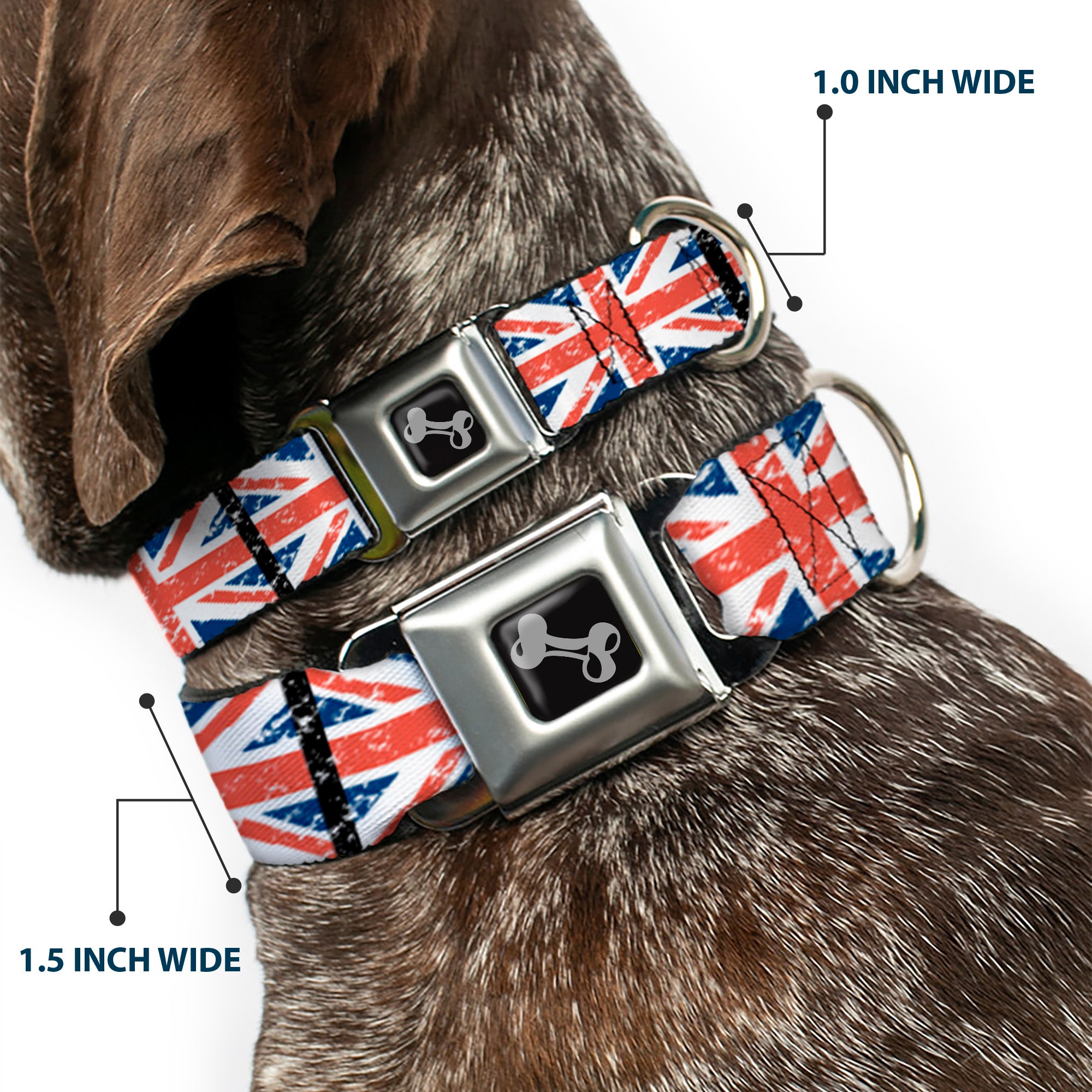 Dog Bone Seatbelt Buckle Collar - United Kingdom Flags Weathered Seatbelt Buckle Collars Buckle-Down