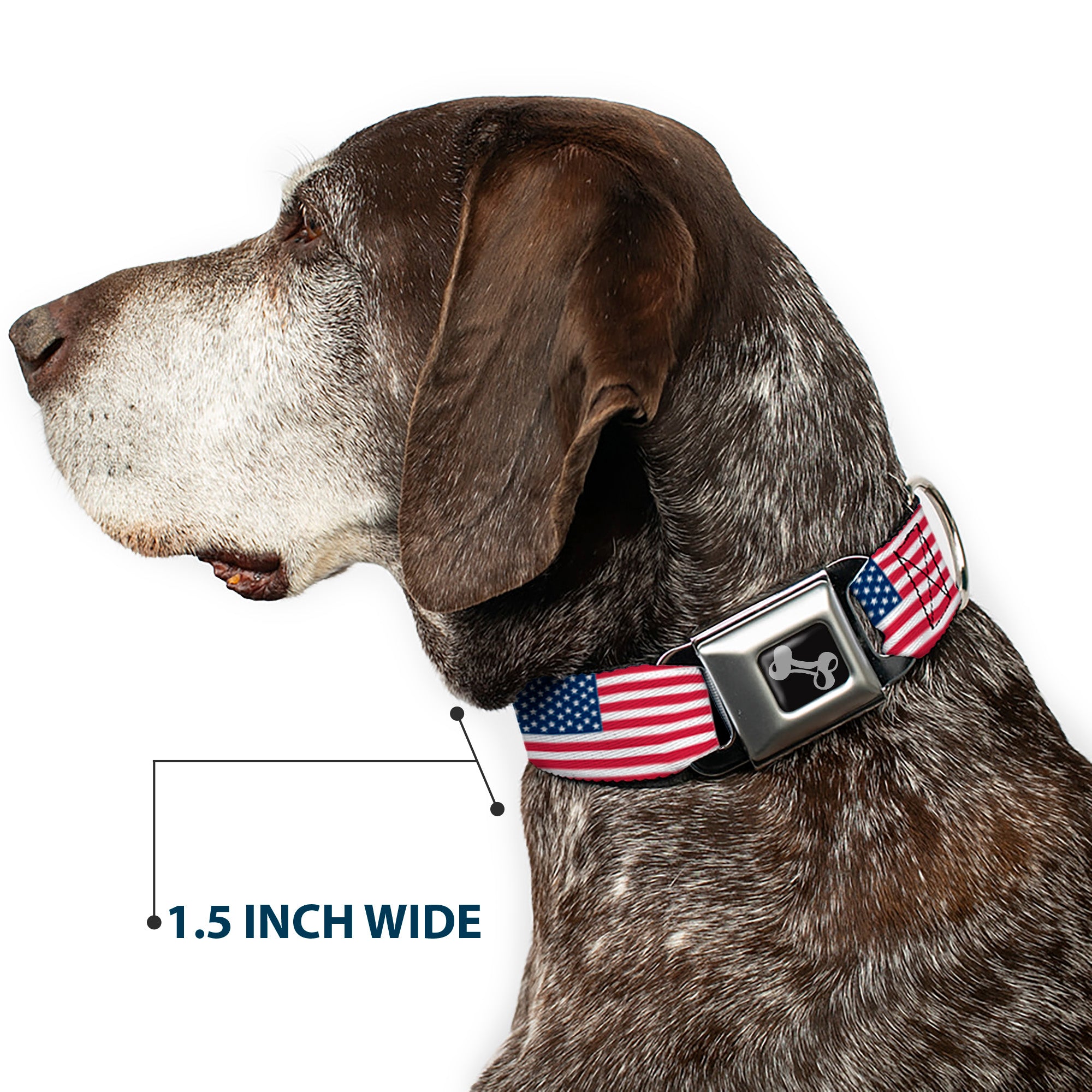 Dog Bone Seatbelt Buckle Collar - United States Flags Seatbelt Buckle Collars Buckle-Down