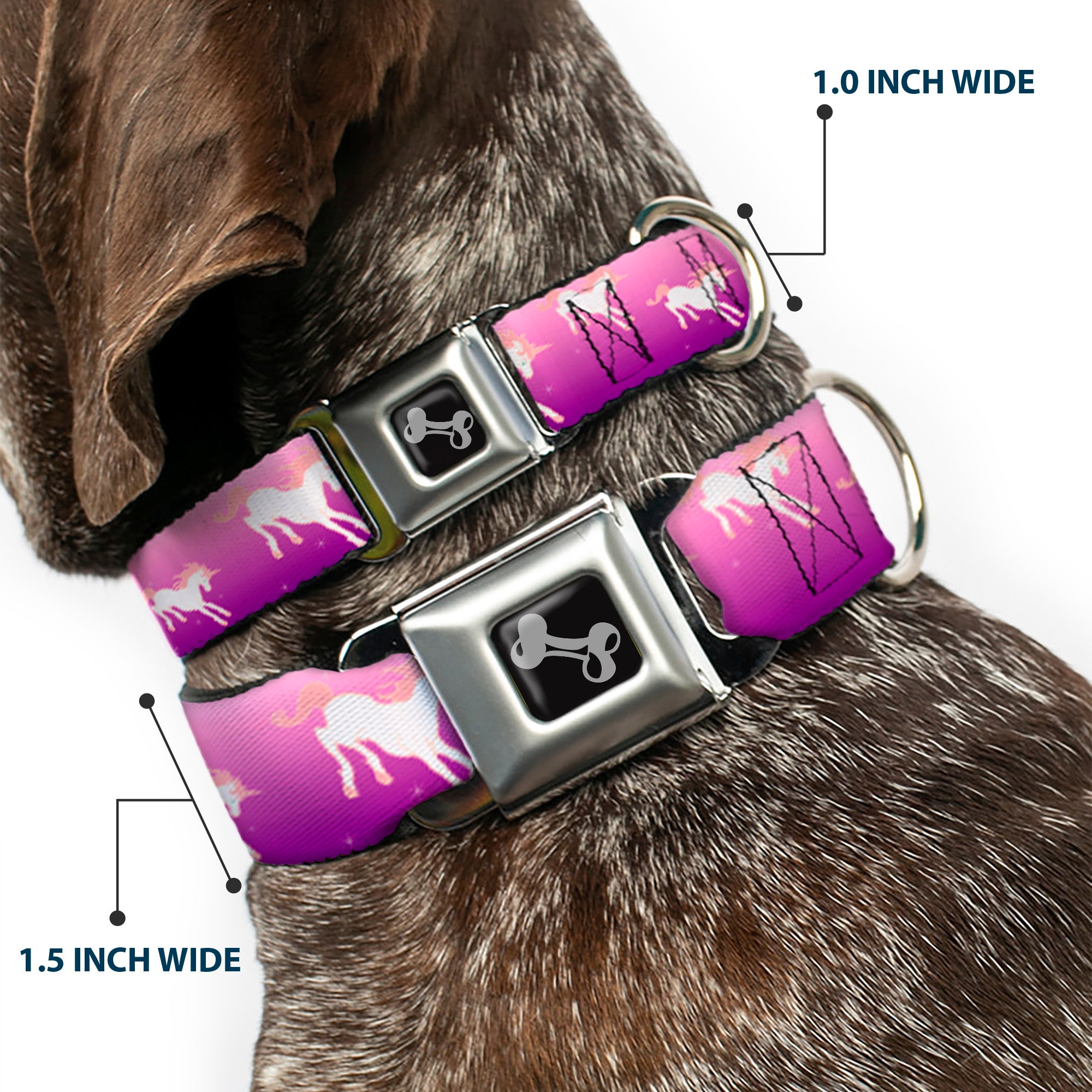 Dog Bone Seatbelt Buckle Collar - Unicorn Sparkles Purple/Pink Seatbelt Buckle Collars Buckle-Down