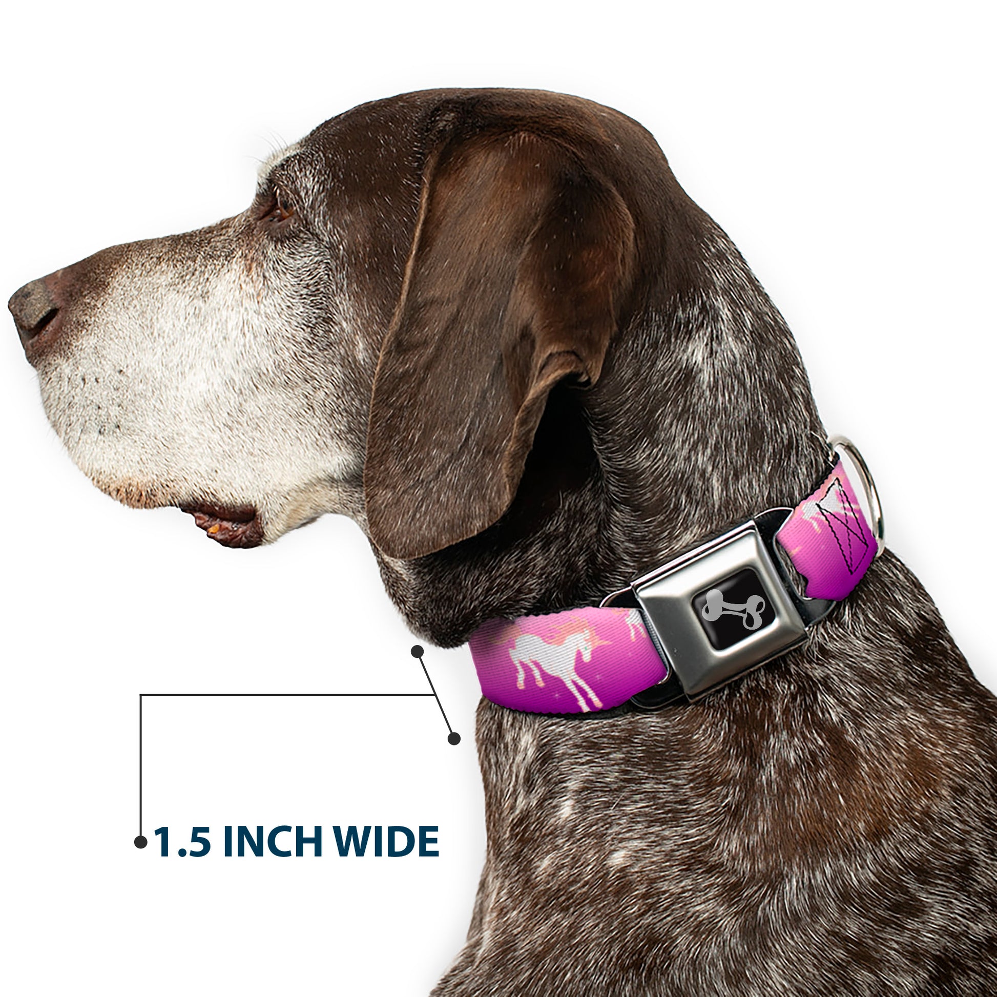 Dog Bone Seatbelt Buckle Collar - Unicorn Sparkles Purple/Pink Seatbelt Buckle Collars Buckle-Down