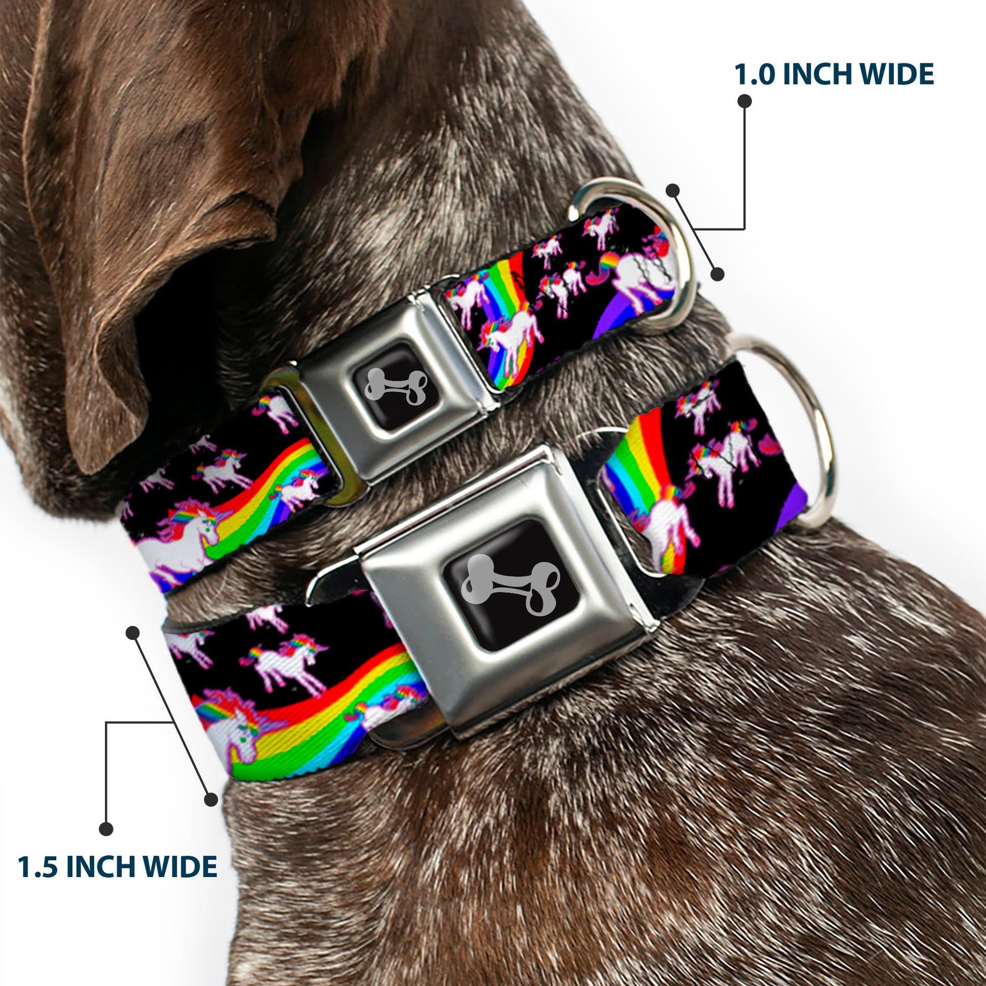 Dog Bone Seatbelt Buckle Collar - Unicorns/Rainbow Swirl Black Seatbelt Buckle Collars Buckle-Down