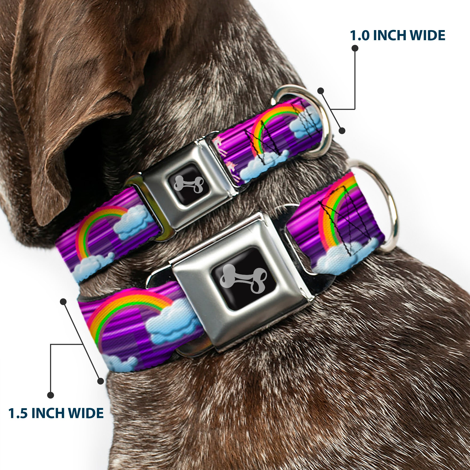 Dog Bone Seatbelt Buckle Collar - Unicorns/Rainbows w/Stripes Purple Seatbelt Buckle Collars Buckle-Down