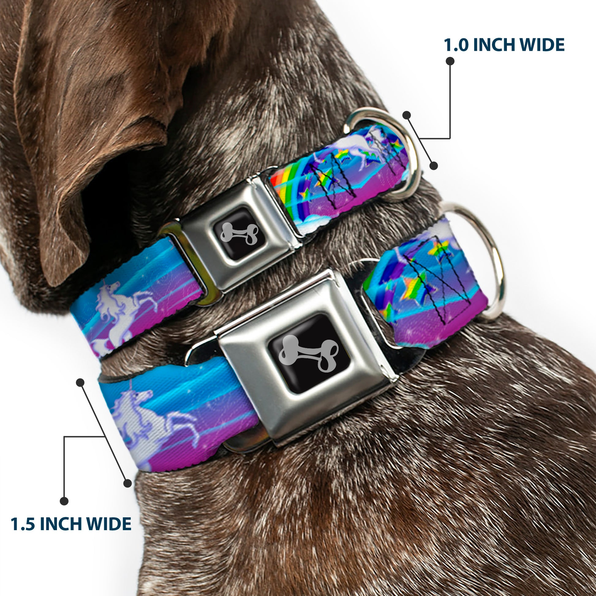 Dog Bone Seatbelt Buckle Collar - Unicorns/Rainbows/Stars Blue/Rainbow/White Seatbelt Buckle Collars Buckle-Down