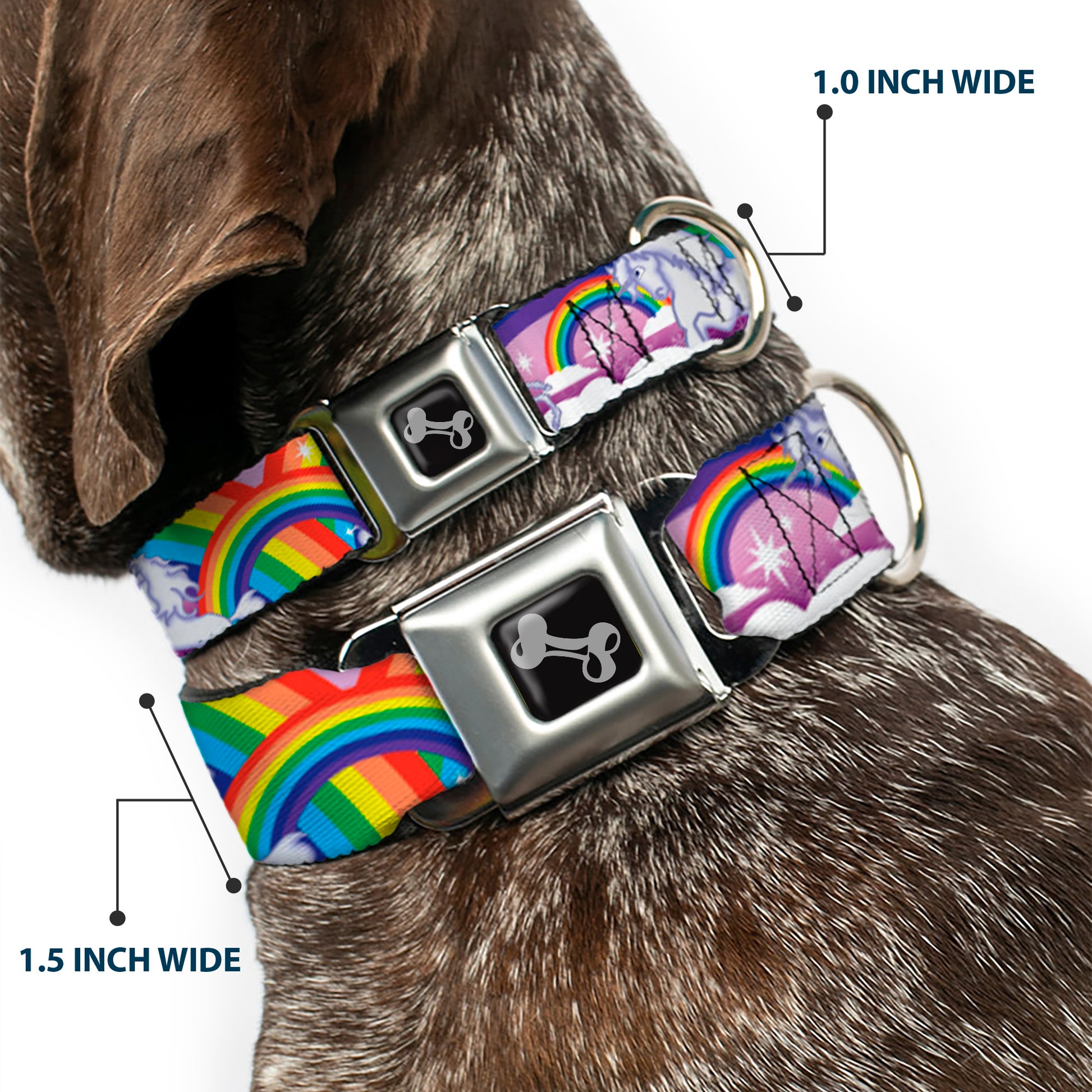 Dog Bone Seatbelt Buckle Collar - Unicorns in Rainbows w/Sparkles/Purple Seatbelt Buckle Collars Buckle-Down