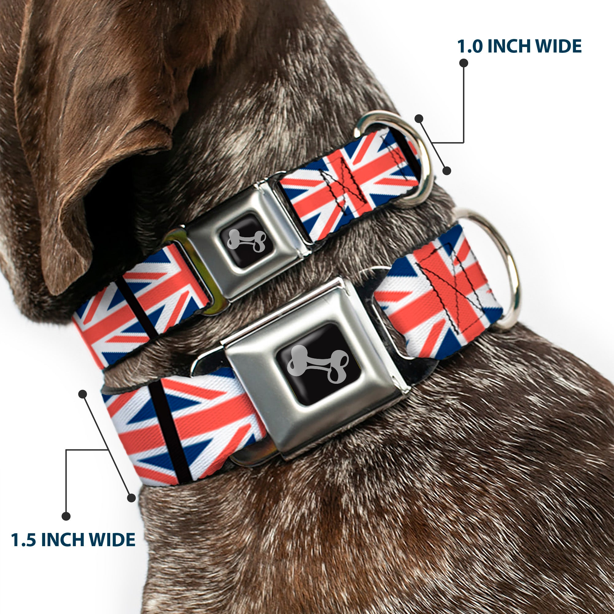 Dog Bone Seatbelt Buckle Collar - United Kingdom Flags Seatbelt Buckle Collars Buckle-Down