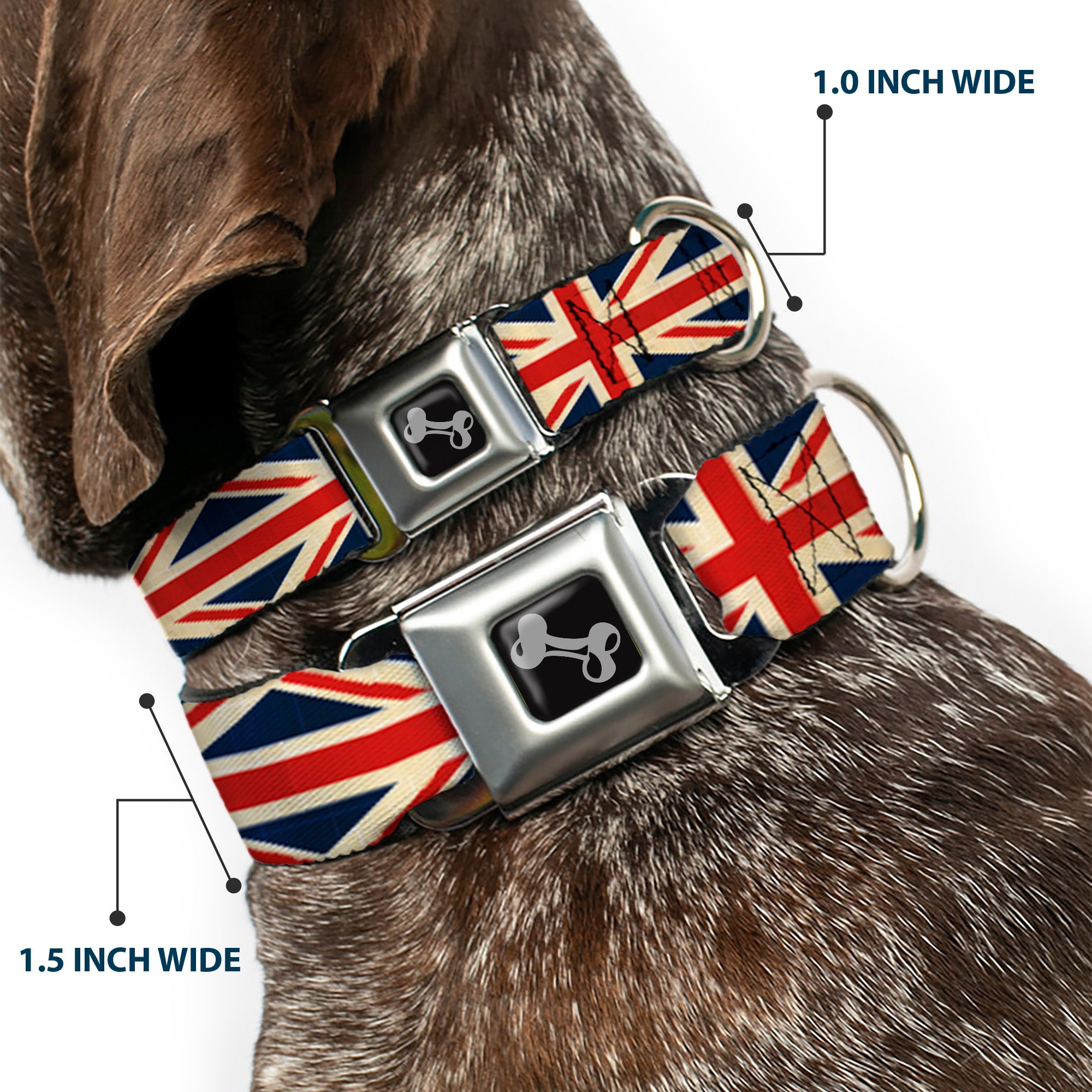 Dog Bone Seatbelt Buckle Collar - Vintage United Kingdom Flags Seatbelt Buckle Collars Buckle-Down