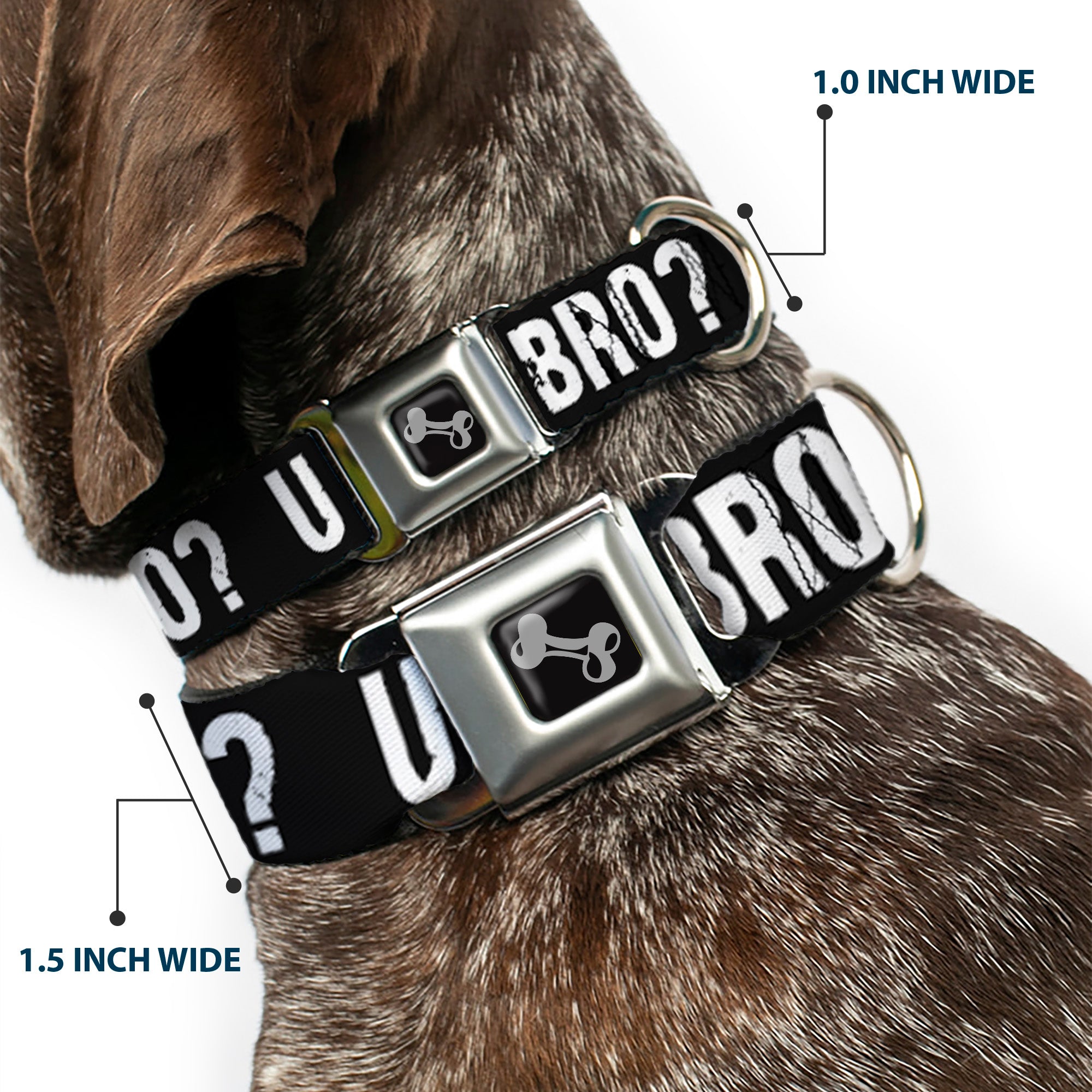 Dog Bone Seatbelt Buckle Collar - U MAD BRO? Weathered Black/White Seatbelt Buckle Collars Buckle-Down