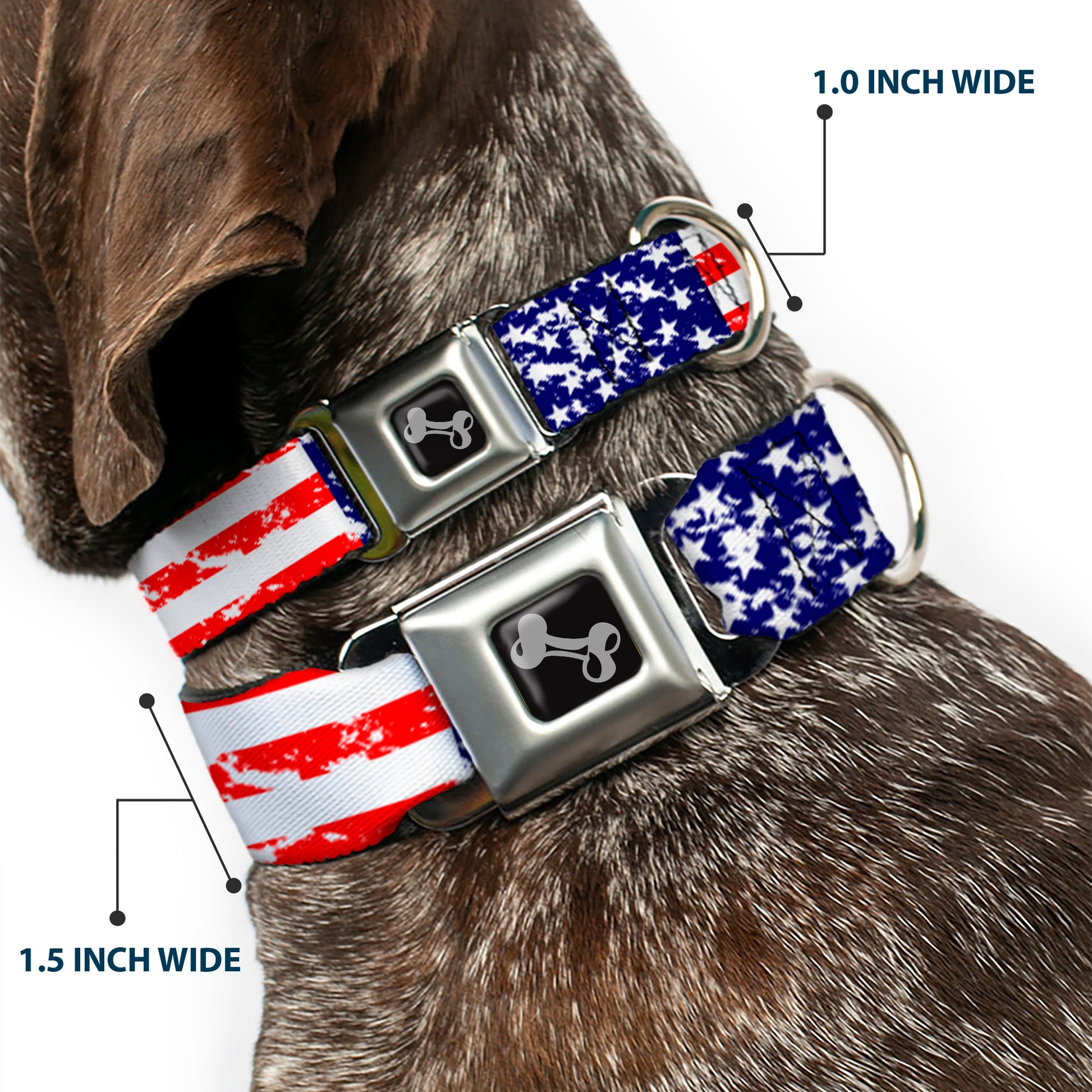 Dog Bone Seatbelt Buckle Collar - United States Flags CLOSE-UP Weathered Seatbelt Buckle Collars Buckle-Down