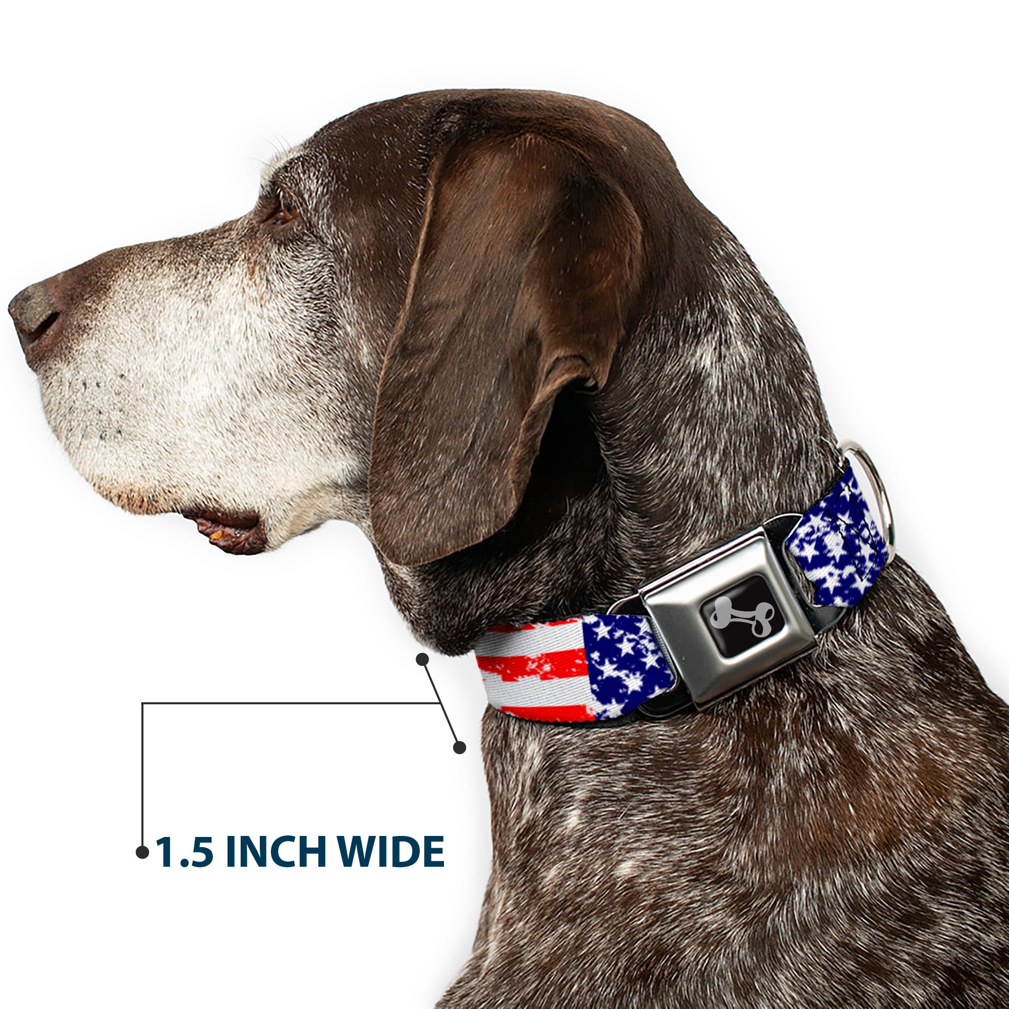 Dog Bone Seatbelt Buckle Collar - United States Flags CLOSE-UP Weathered Seatbelt Buckle Collars Buckle-Down