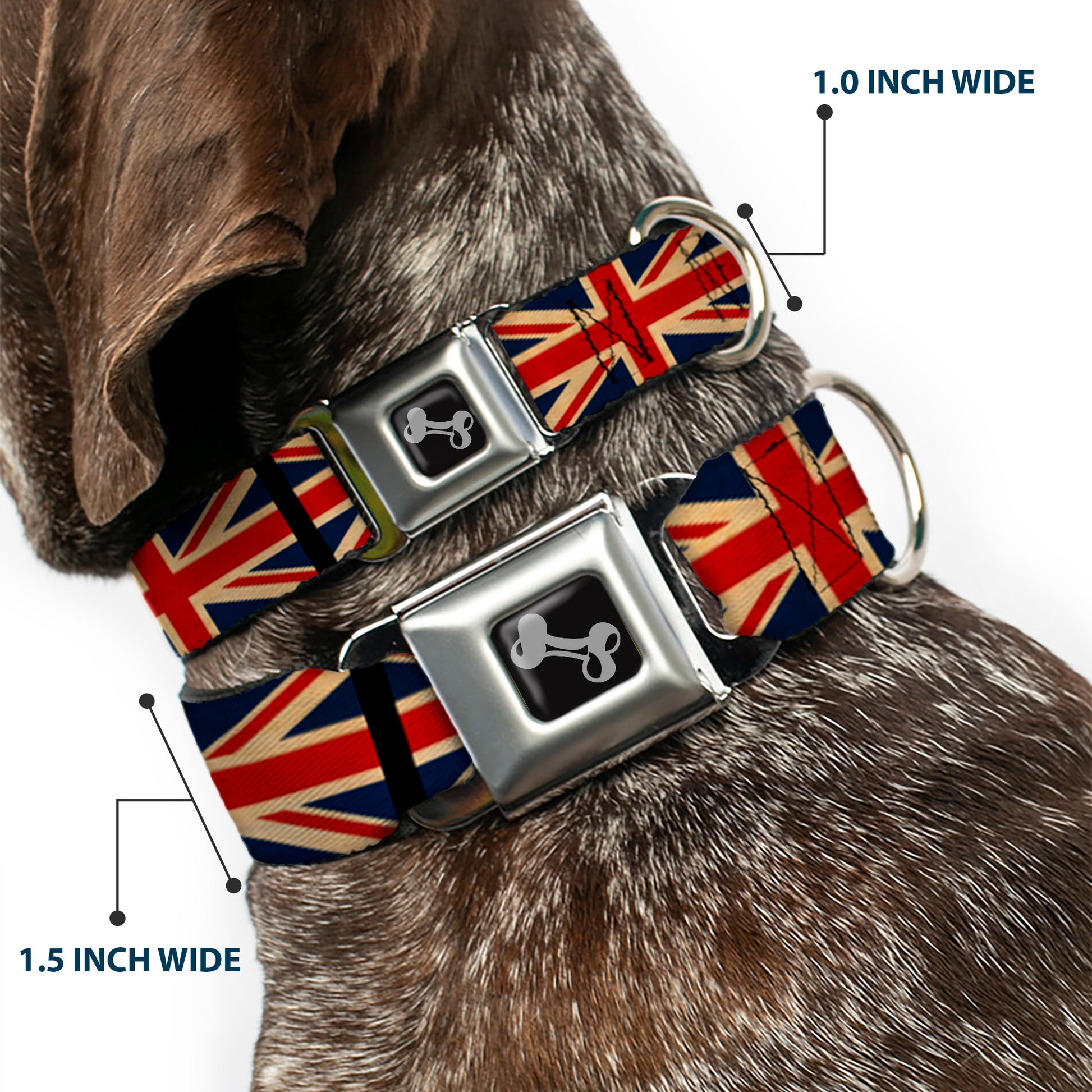 Dog Bone Black/Silver Seatbelt Buckle Collar - United Kingdom Flags Vintage Black Seatbelt Buckle Collars Buckle-Down