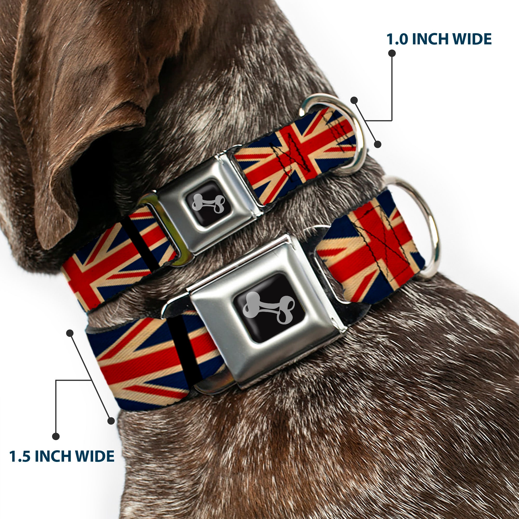 Dog Bone Black/Silver Seatbelt Buckle Collar - United Kingdom Flags Vintage Black Seatbelt Buckle Collars Buckle-Down