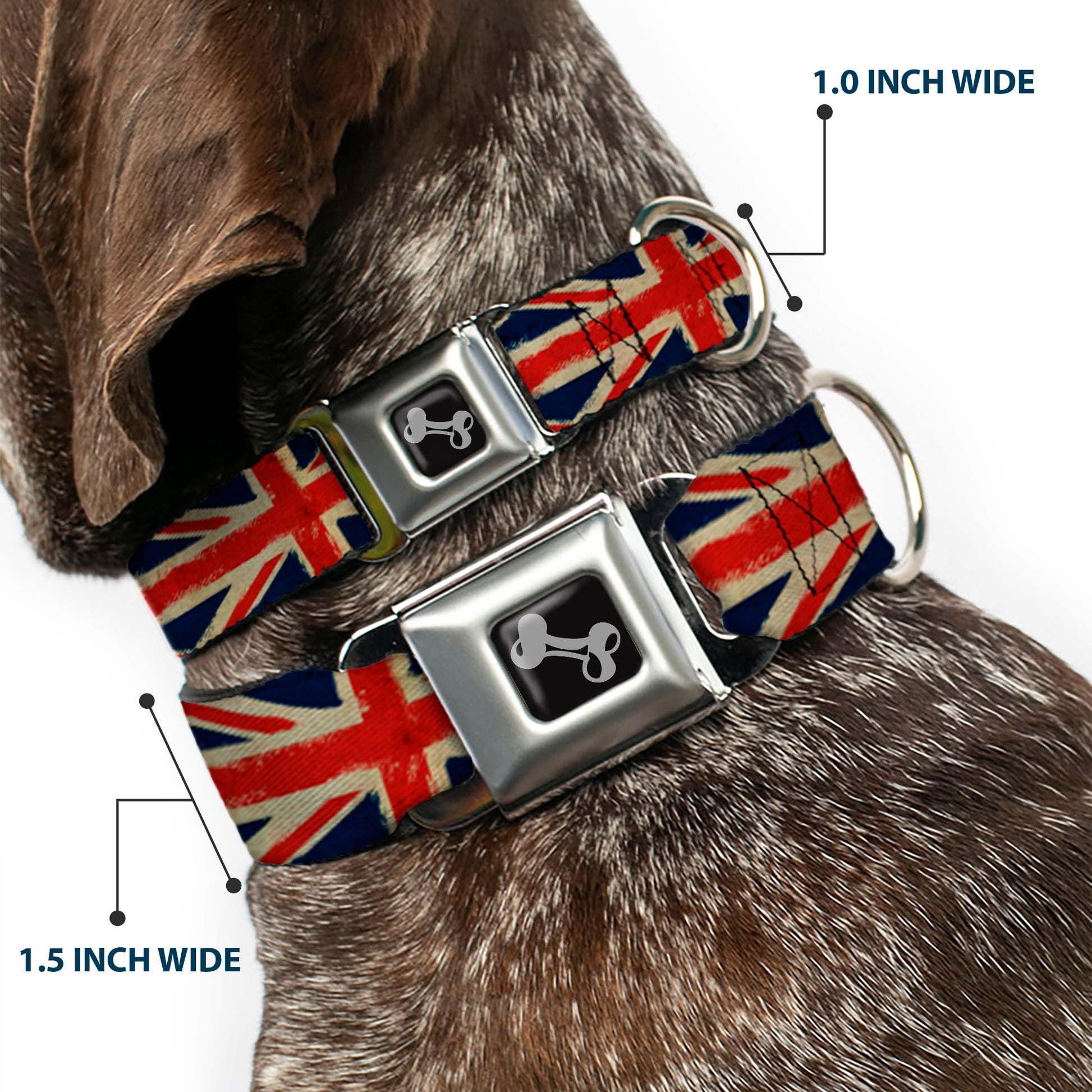 Dog Bone Seatbelt Buckle Collar - United Kingdom Flags Distressed Painting Seatbelt Buckle Collars Buckle-Down