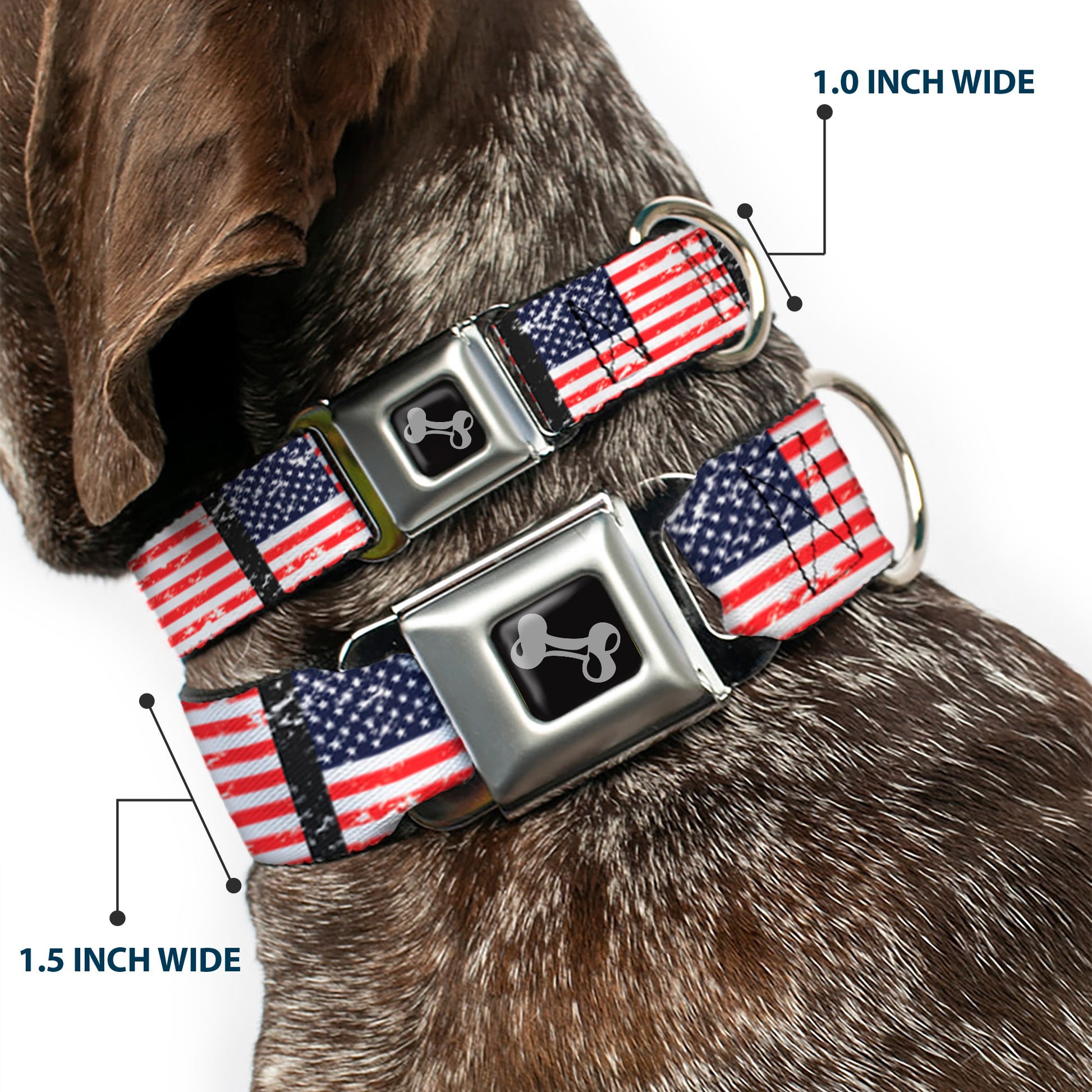 Dog Bone Seatbelt Buckle Collar - United States Flags Weathered/Black Seatbelt Buckle Collars Buckle-Down