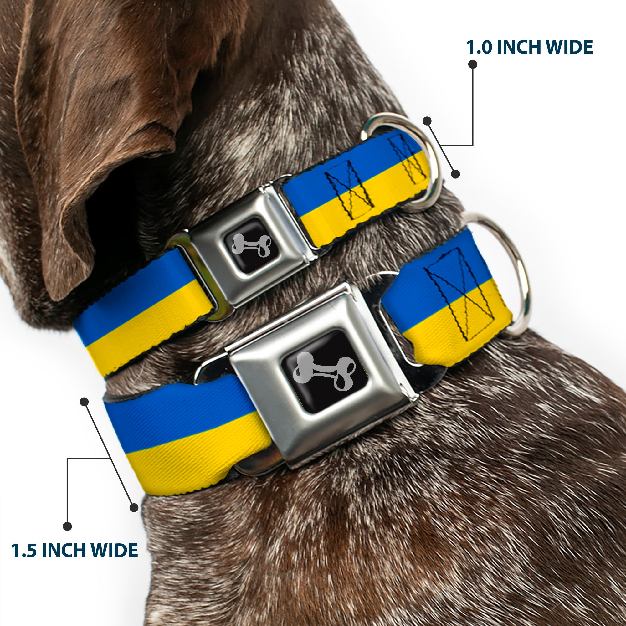 Dog Bone Black/Silver Seatbelt Buckle Collar - Ukraine Flag Continuous Seatbelt Buckle Collars Buckle-Down