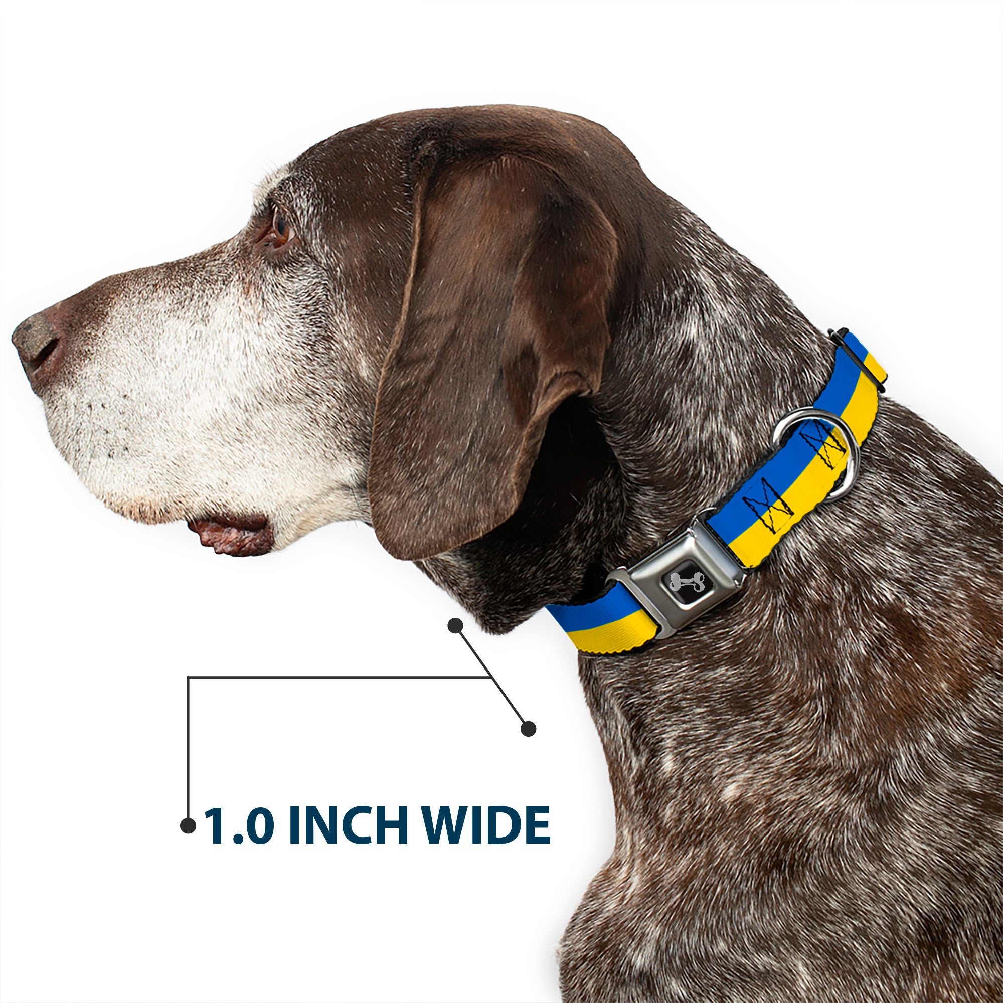 Dog Bone Black/Silver Seatbelt Buckle Collar - Ukraine Flag Continuous Seatbelt Buckle Collars Buckle-Down