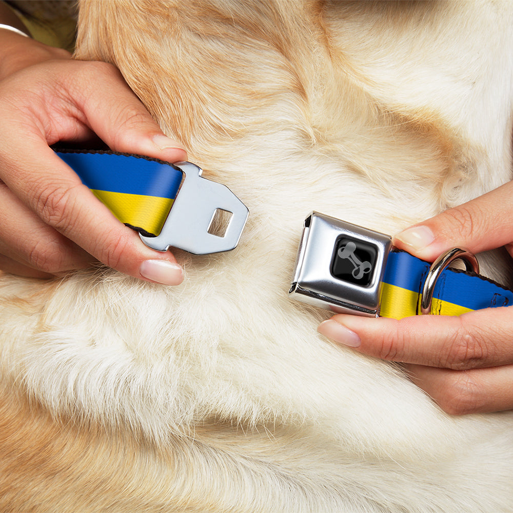 Dog Bone Black/Silver Seatbelt Buckle Collar - Ukraine Flag Continuous Seatbelt Buckle Collars Buckle-Down