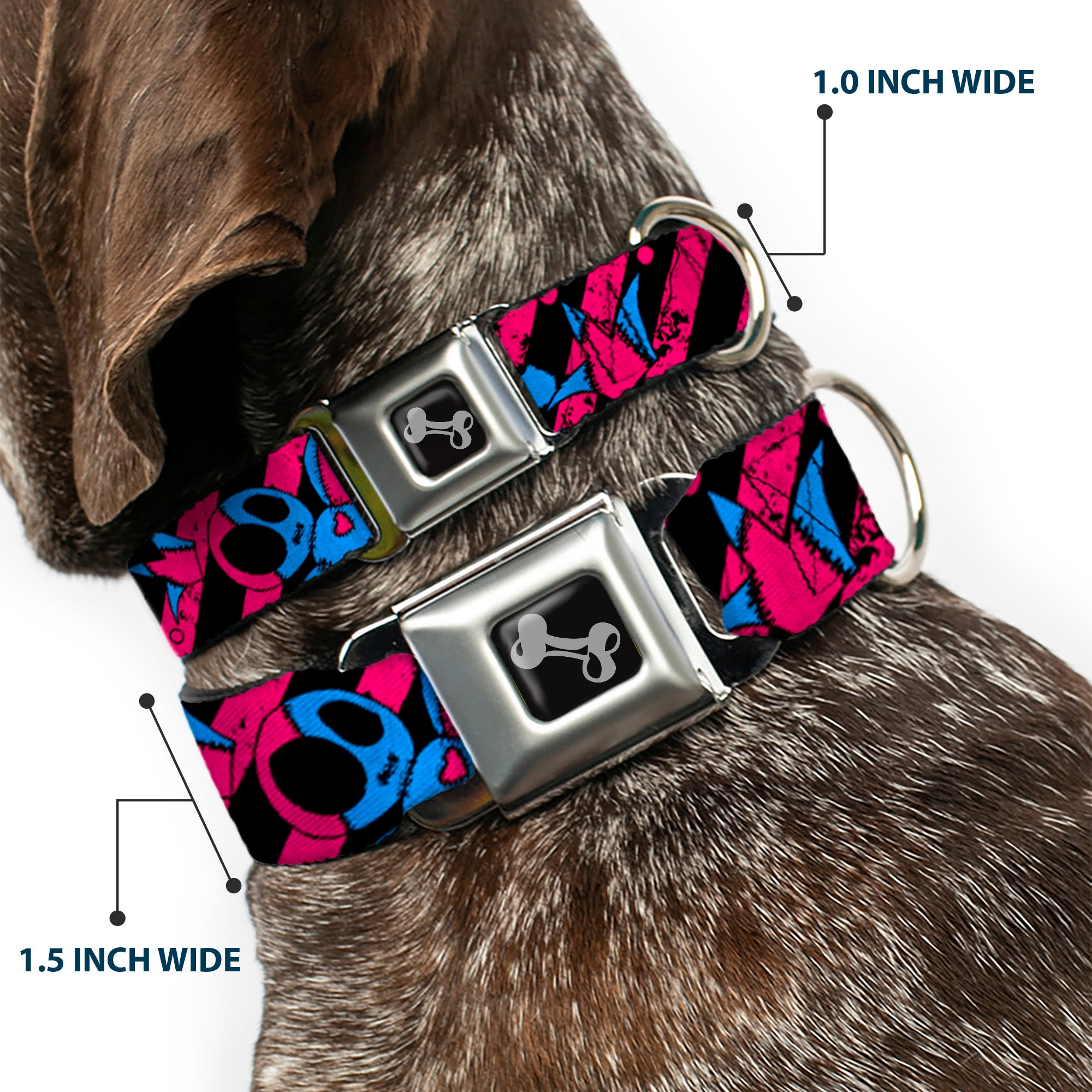 Dog Bone Seatbelt Buckle Collar - Voodoo Black/Pink/Blue Seatbelt Buckle Collars Buckle-Down