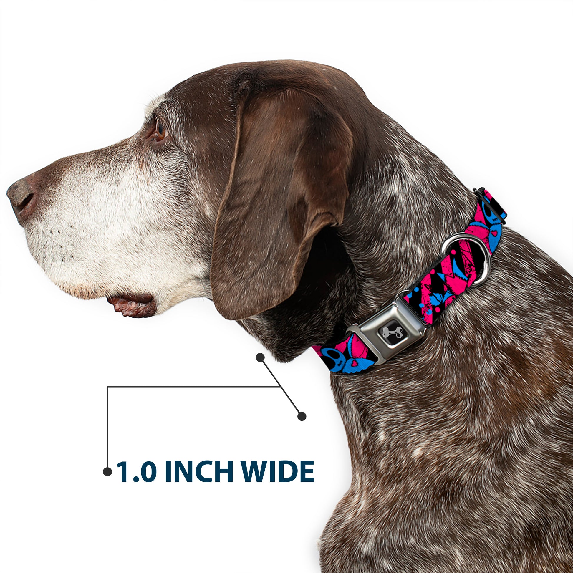Dog Bone Seatbelt Buckle Collar - Voodoo Black/Pink/Blue Seatbelt Buckle Collars Buckle-Down