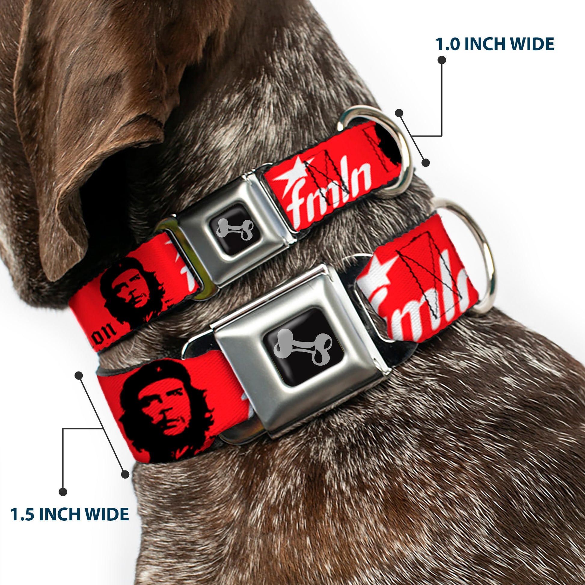 Dog Bone Seatbelt Buckle Collar - VIVA LA REVOLUCION Che w/fmln Red Seatbelt Buckle Collars Buckle-Down