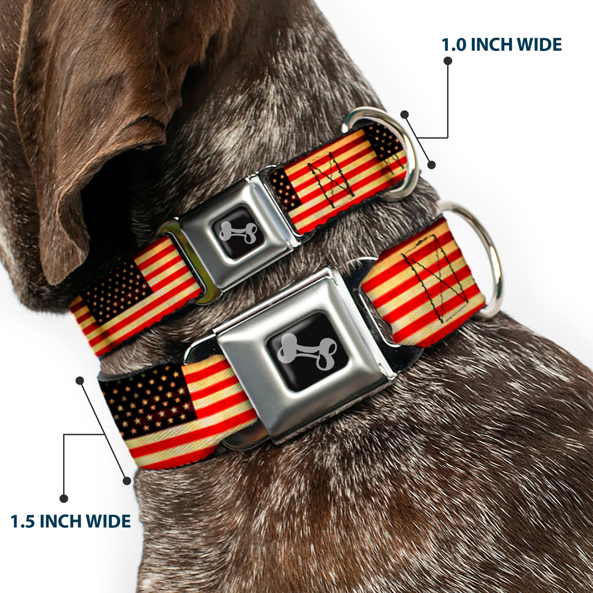 Dog Bone Seatbelt Buckle Collar - Vintage US Flag Repeat Seatbelt Buckle Collars Buckle-Down
