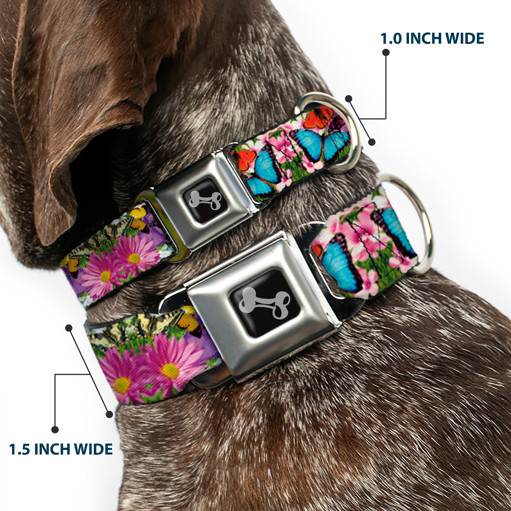 Dog Bone Seatbelt Buckle Collar - Vivid Butterfly Garden Seatbelt Buckle Collars Buckle-Down