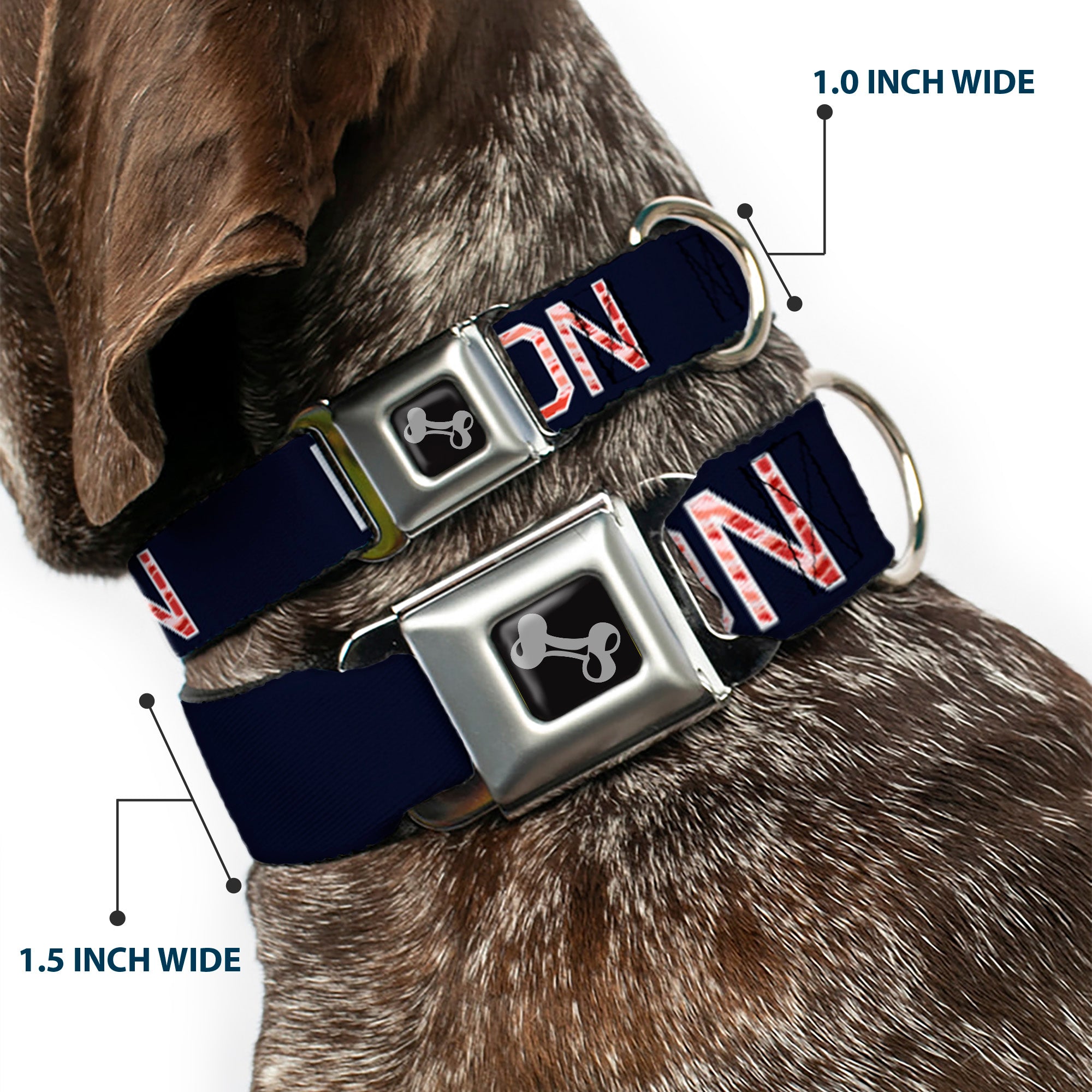 Dog Bone Seatbelt Buckle Collar - VOTE FOR BACON Black/White/Bacon Seatbelt Buckle Collars Buckle-Down